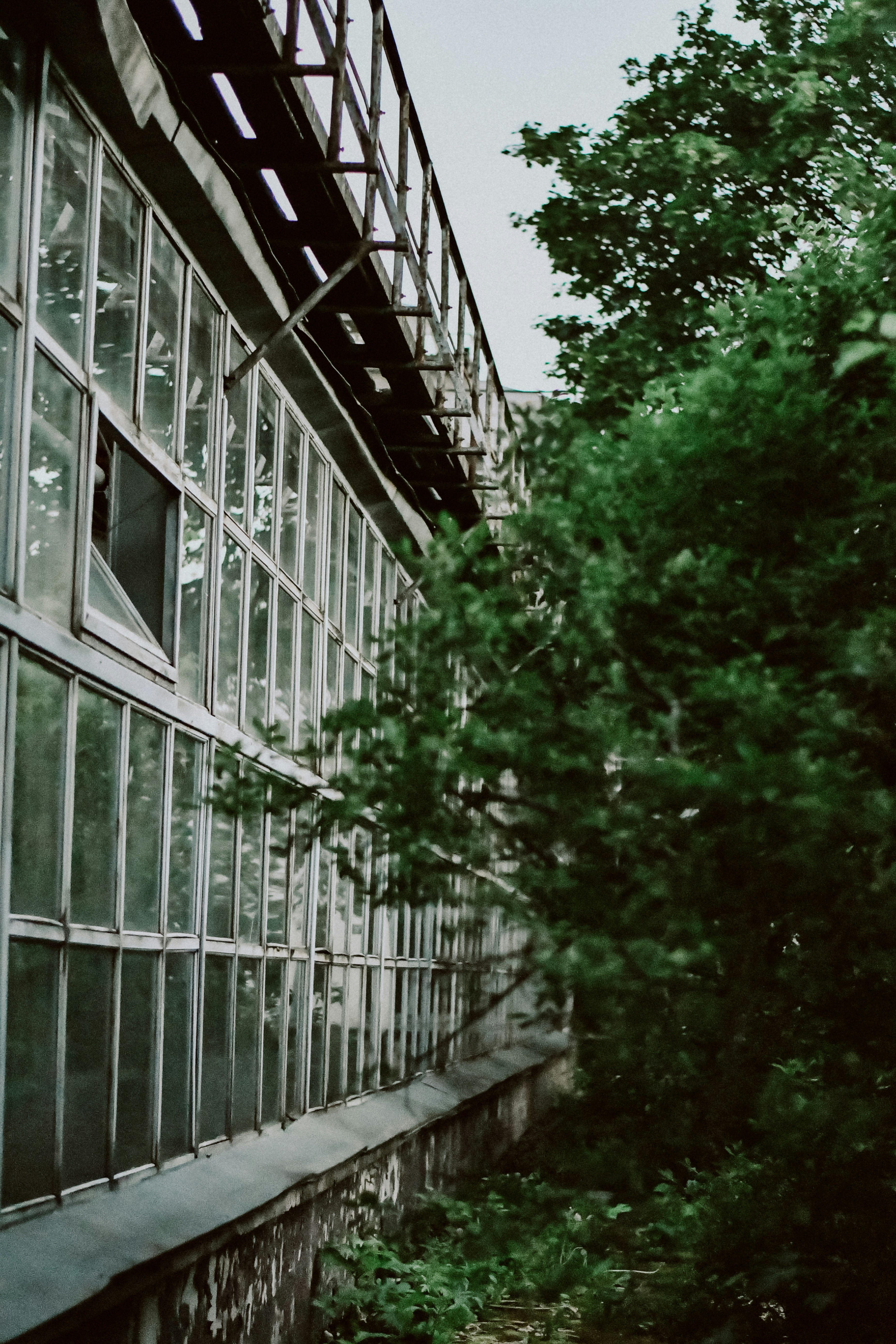 Photo by dinamakhmutova