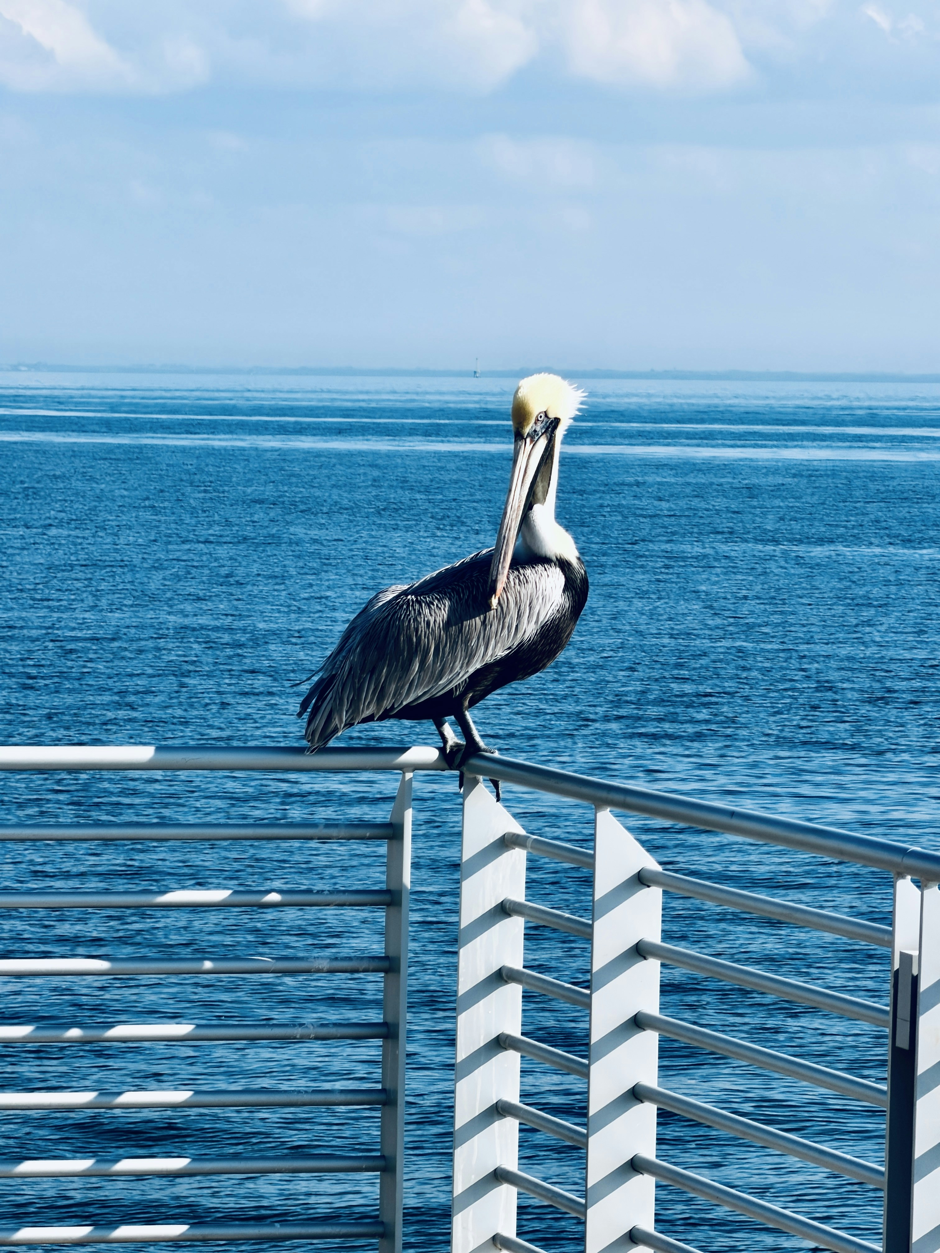 Photo by mac_nzombola