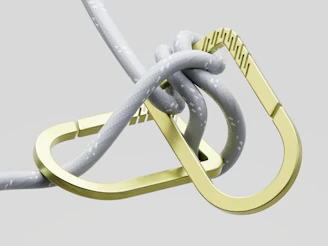 A climbing rope is threaded through two carabiners.