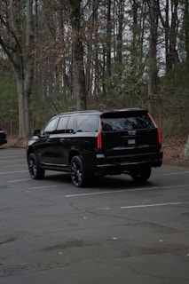 Black suv parked in a forest lot.