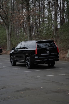 Black suv parked in a forest lot.