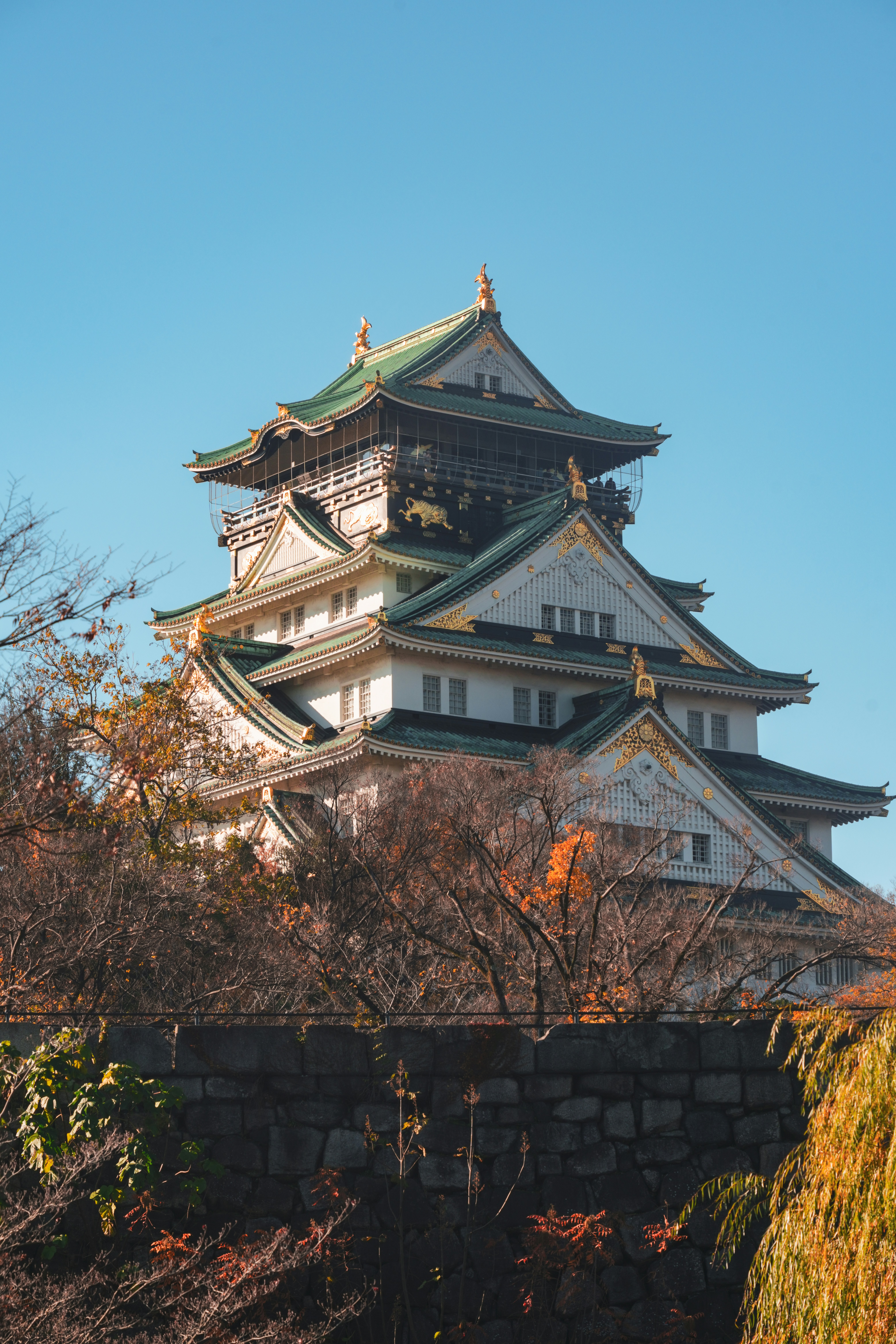 Photo by hattrick1996