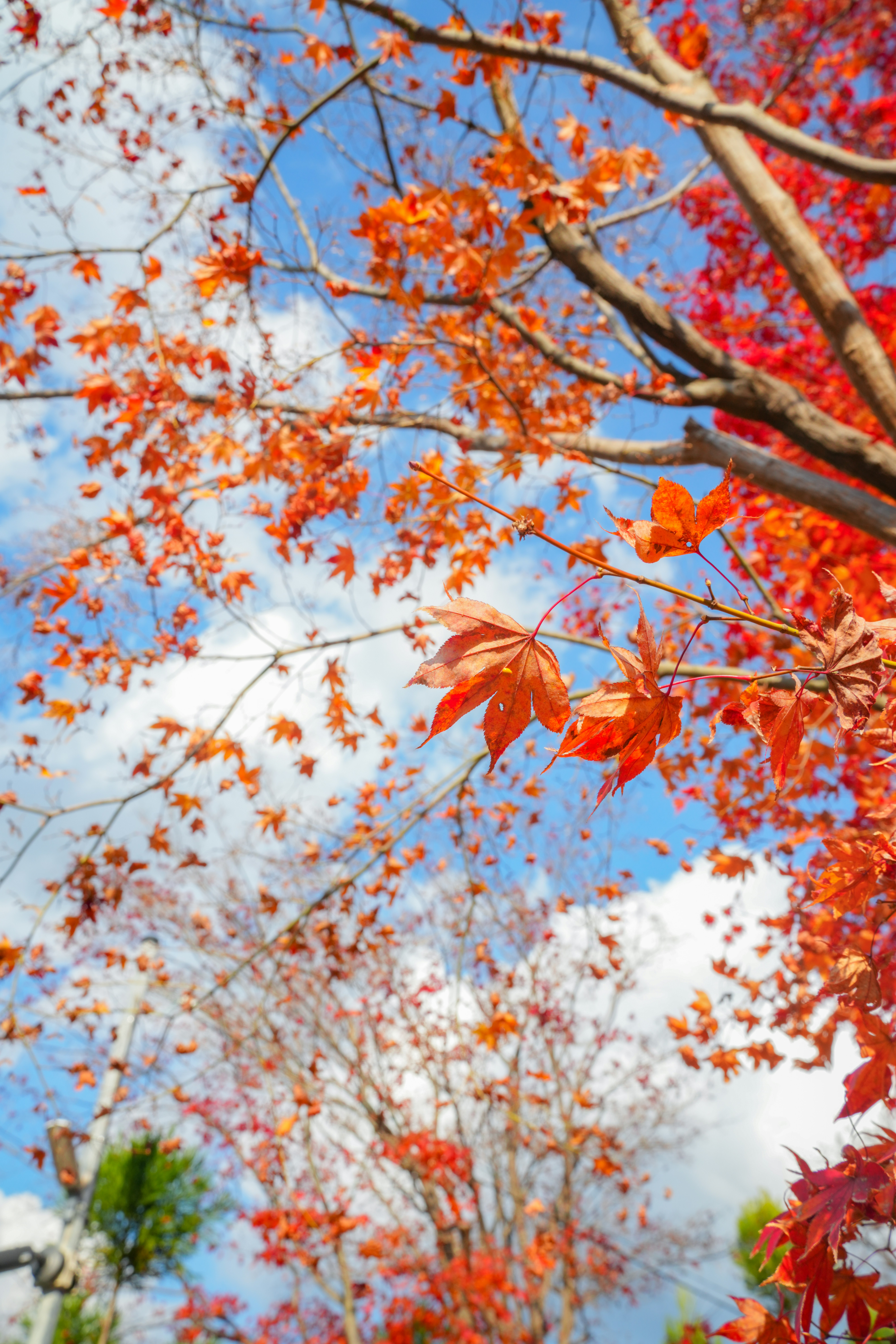 Photo by hattrick1996