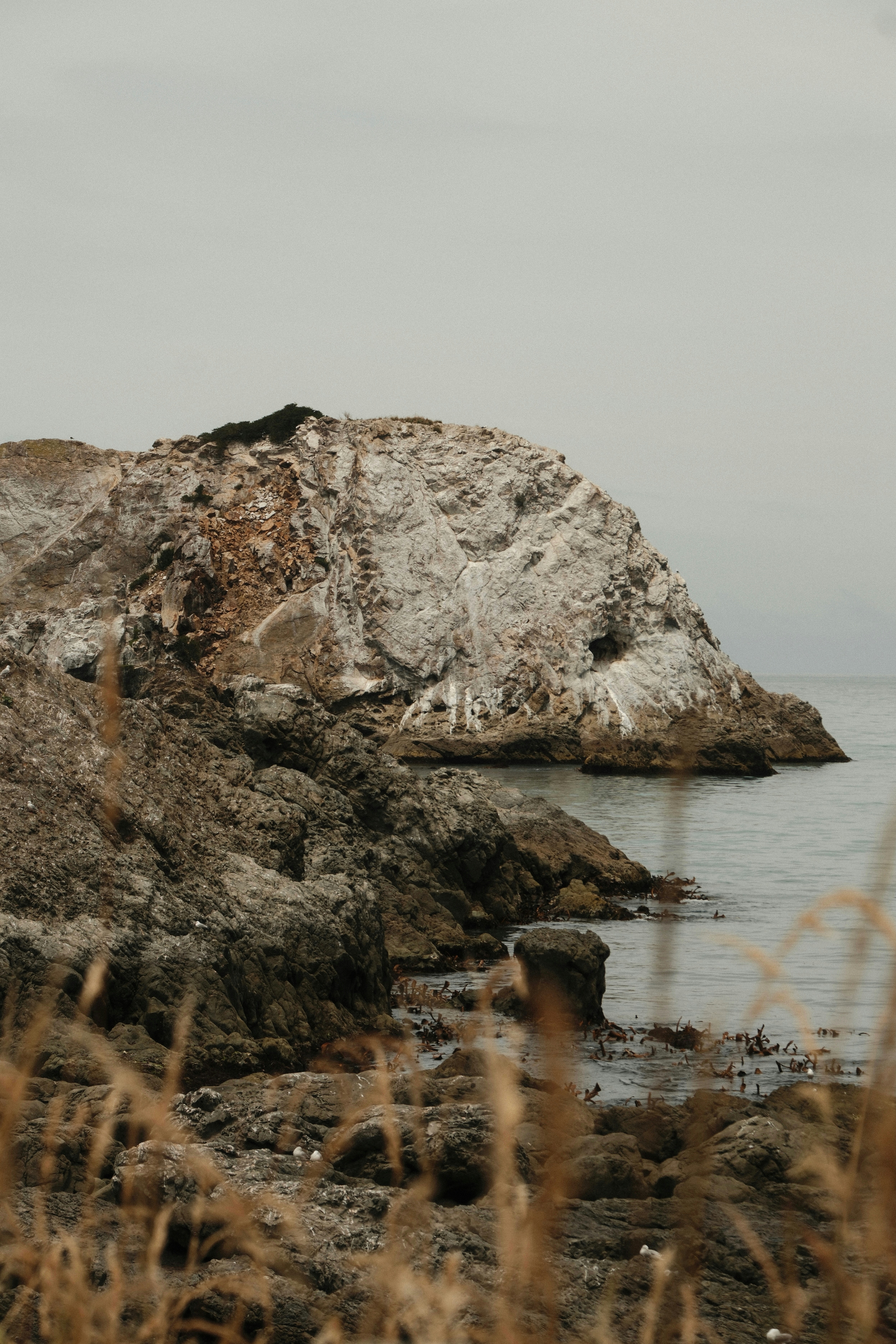 Photo by ginkgoshutter