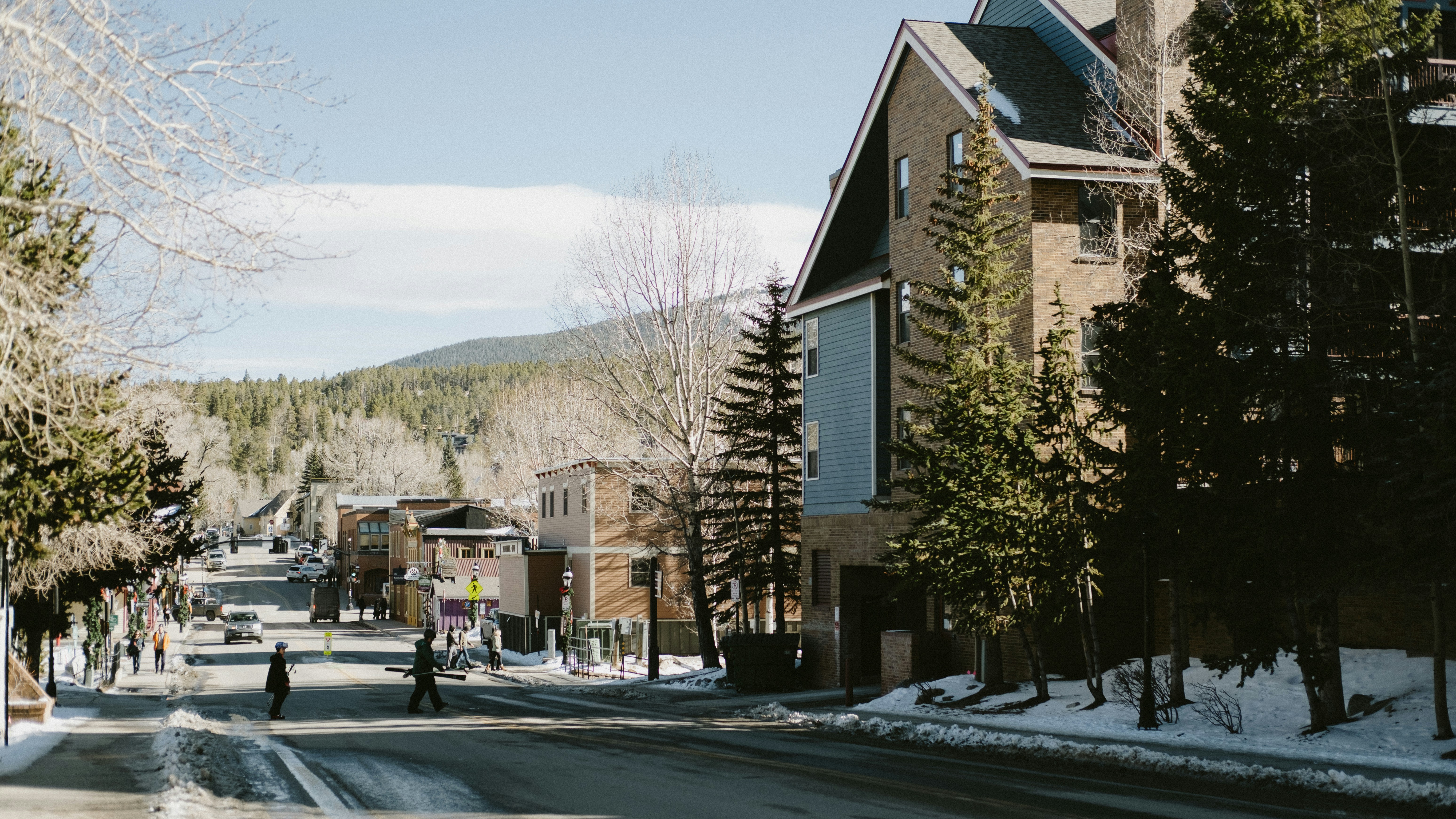 Snowy street lined with buildings and trees