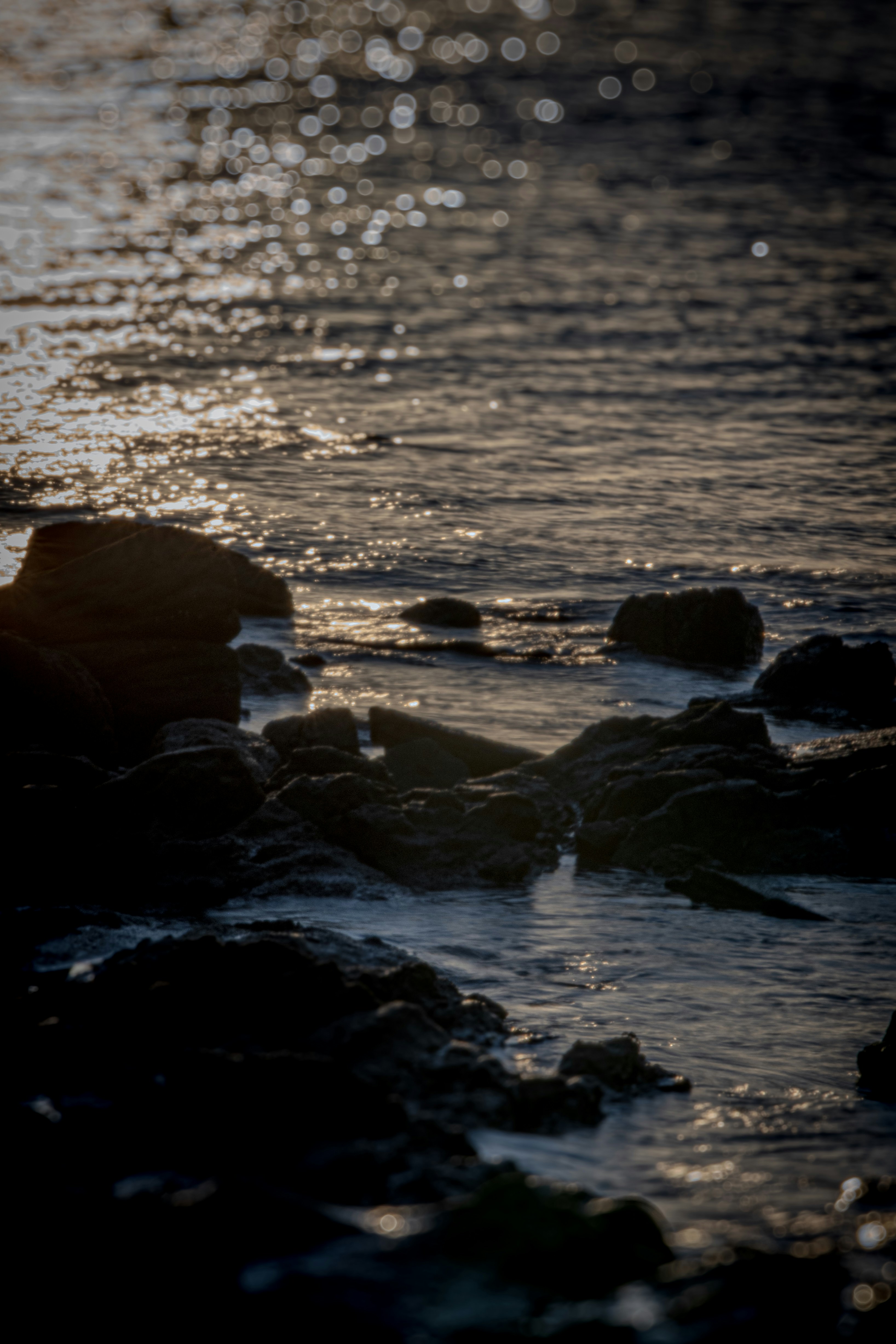 Photo by baltasarhenderson