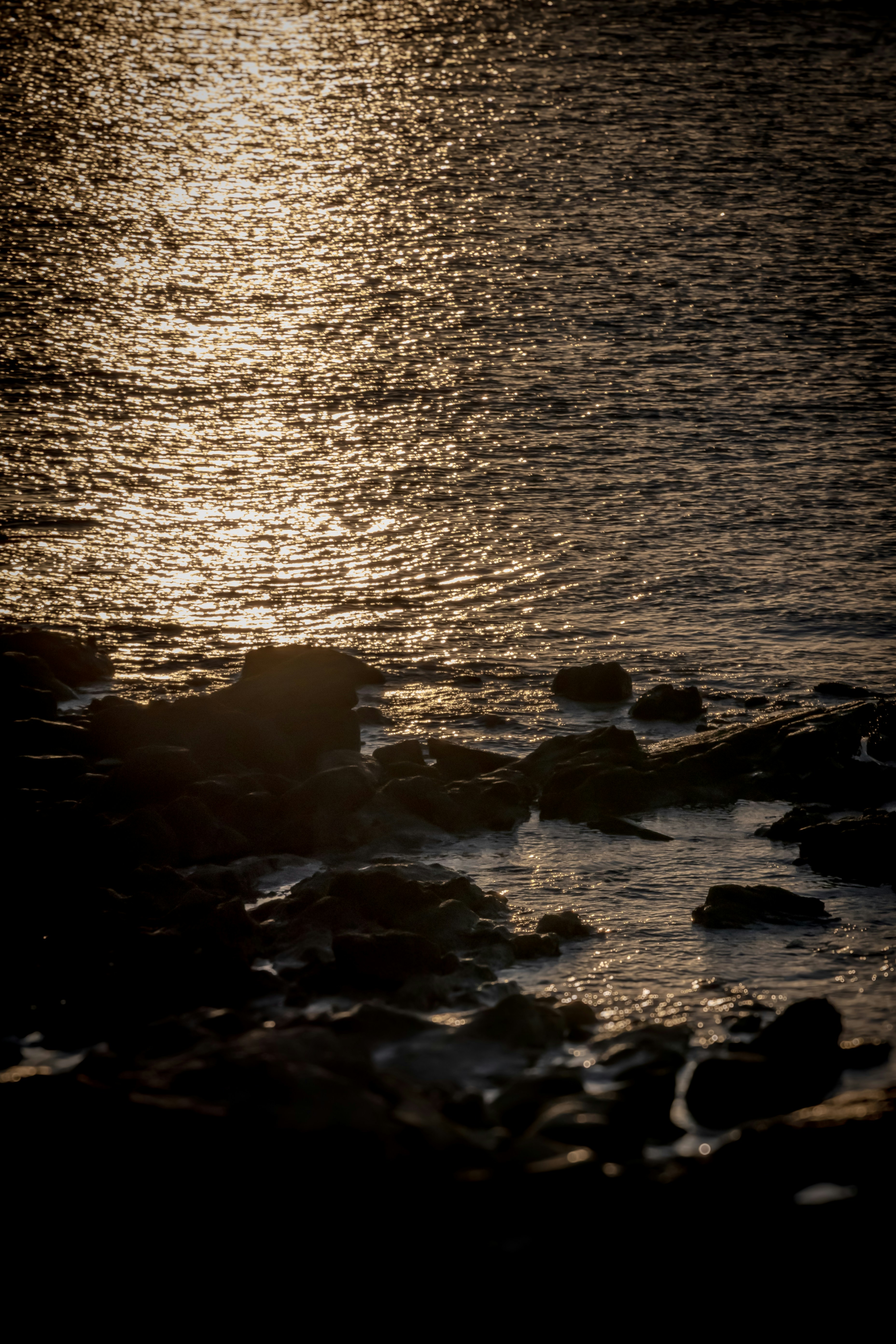 Photo by baltasarhenderson