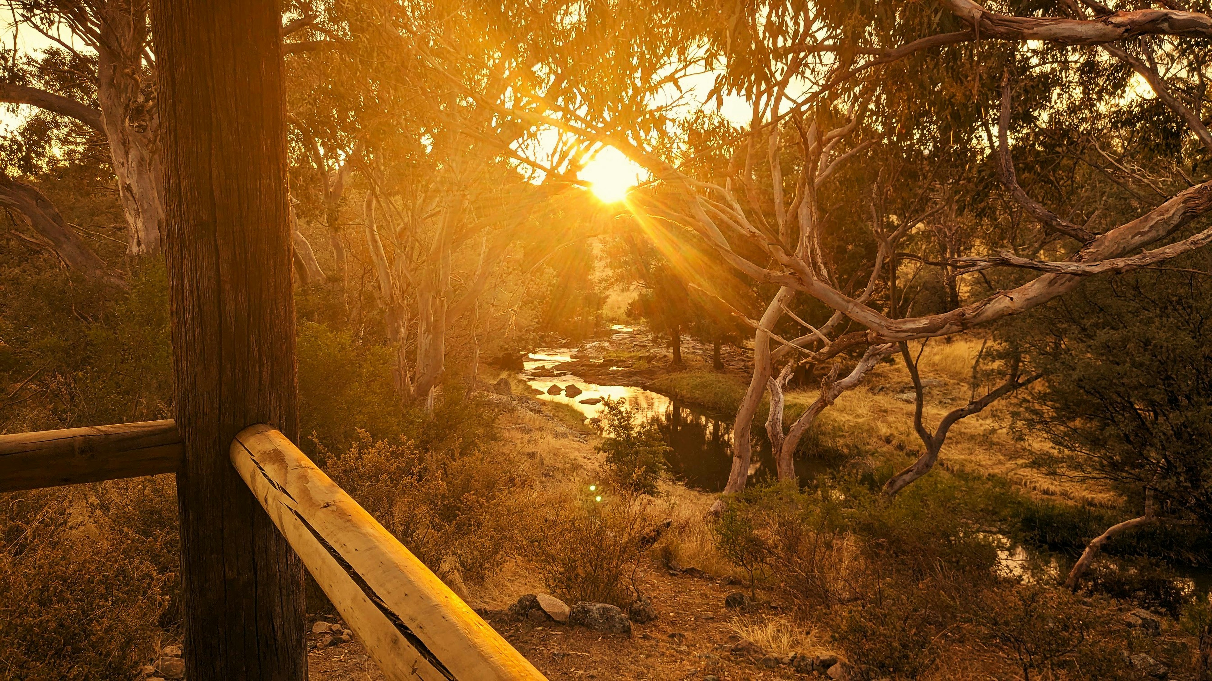 Golden sunbeams filter through trees over a flowing creek.