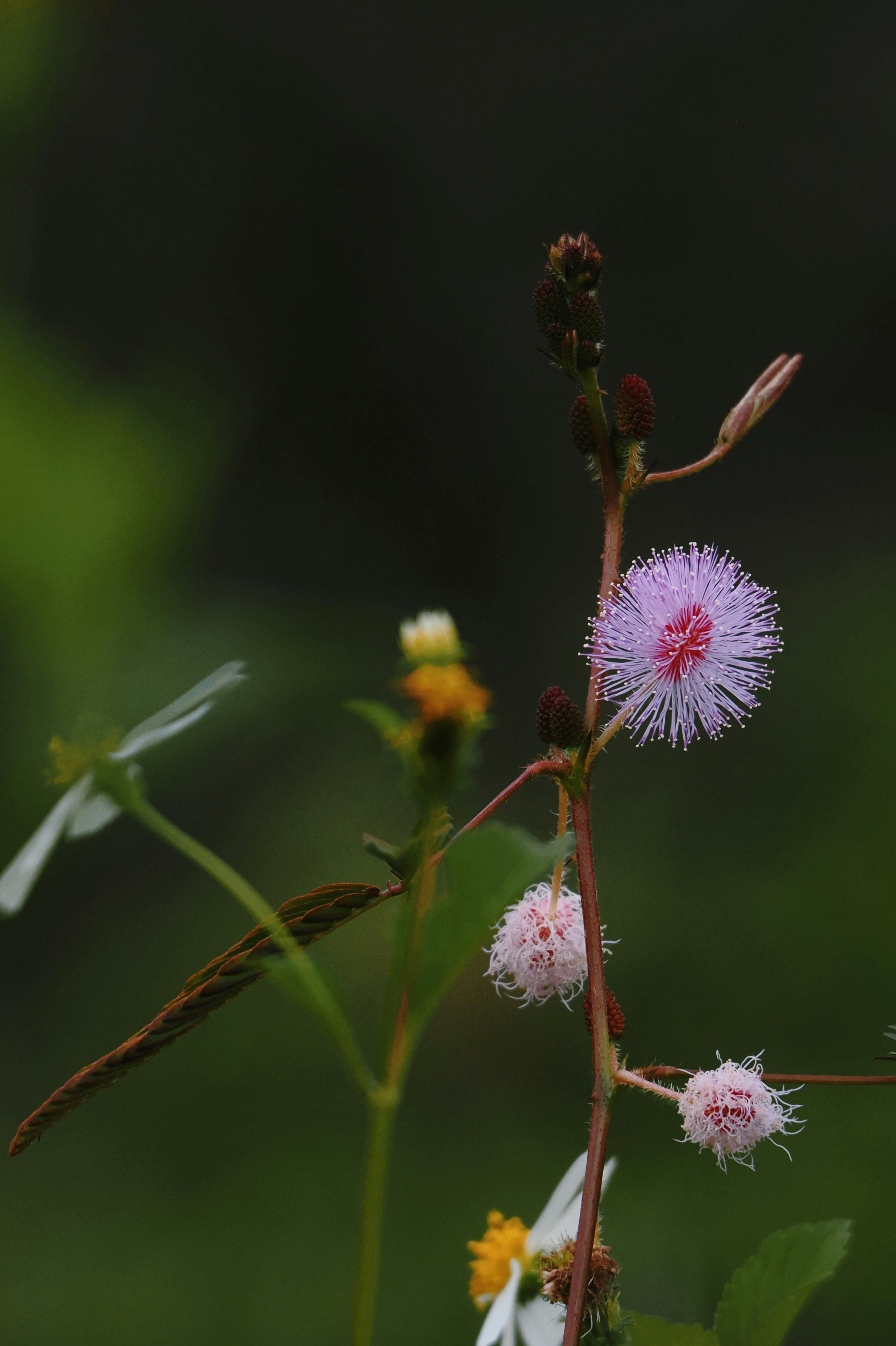 Photo by liliantruong2603