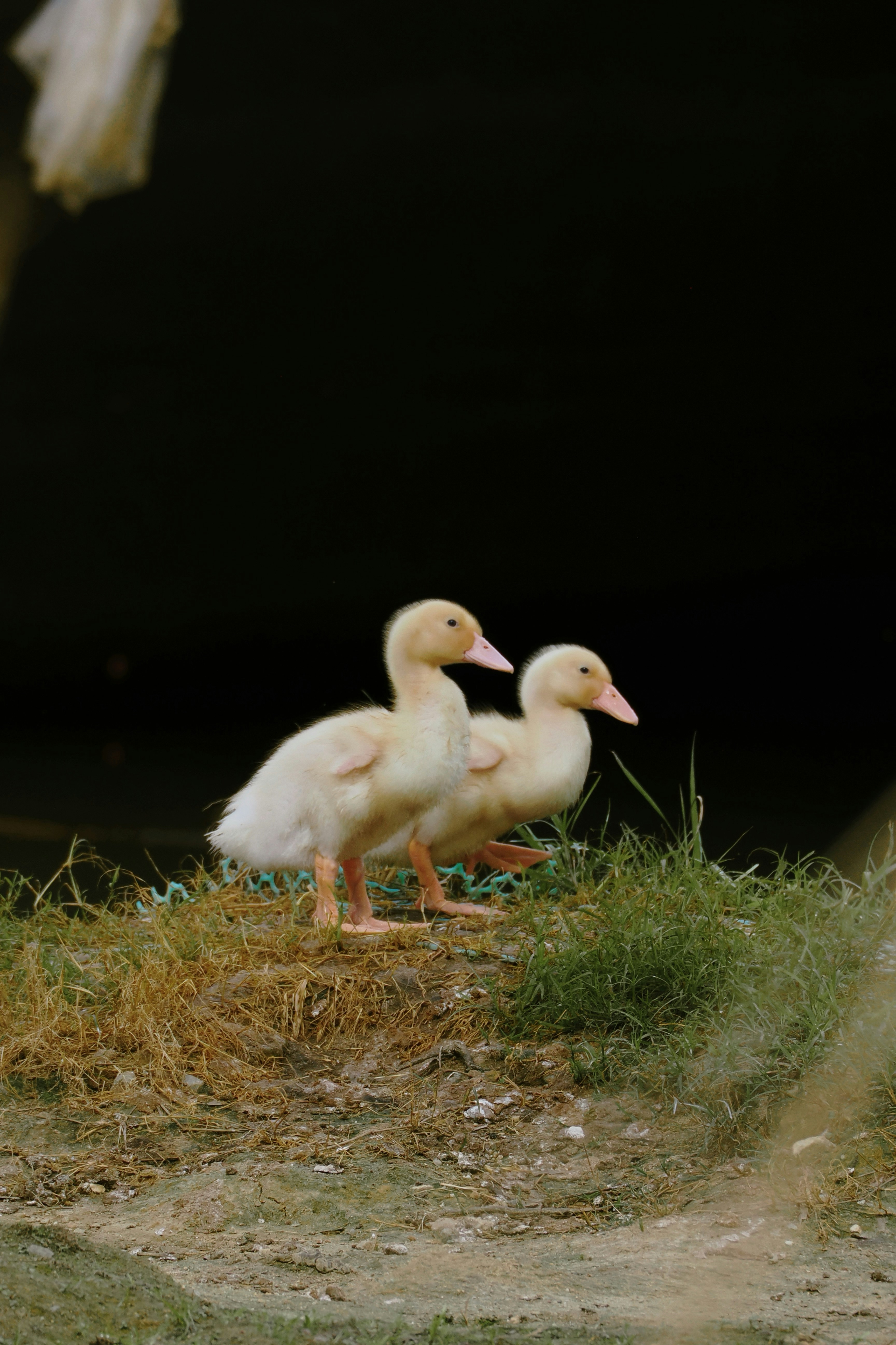 Photo by liliantruong2603