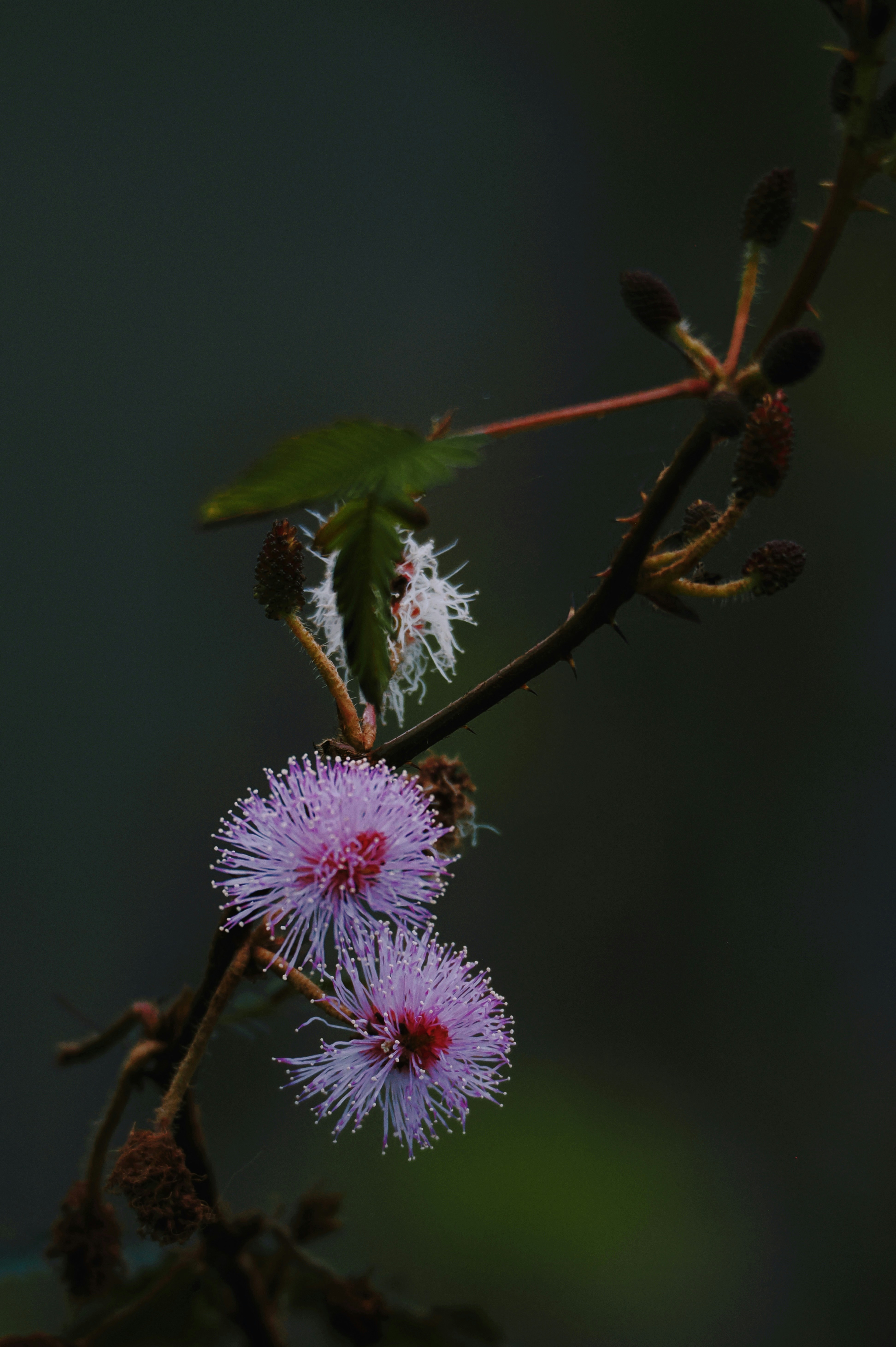 Photo by liliantruong2603