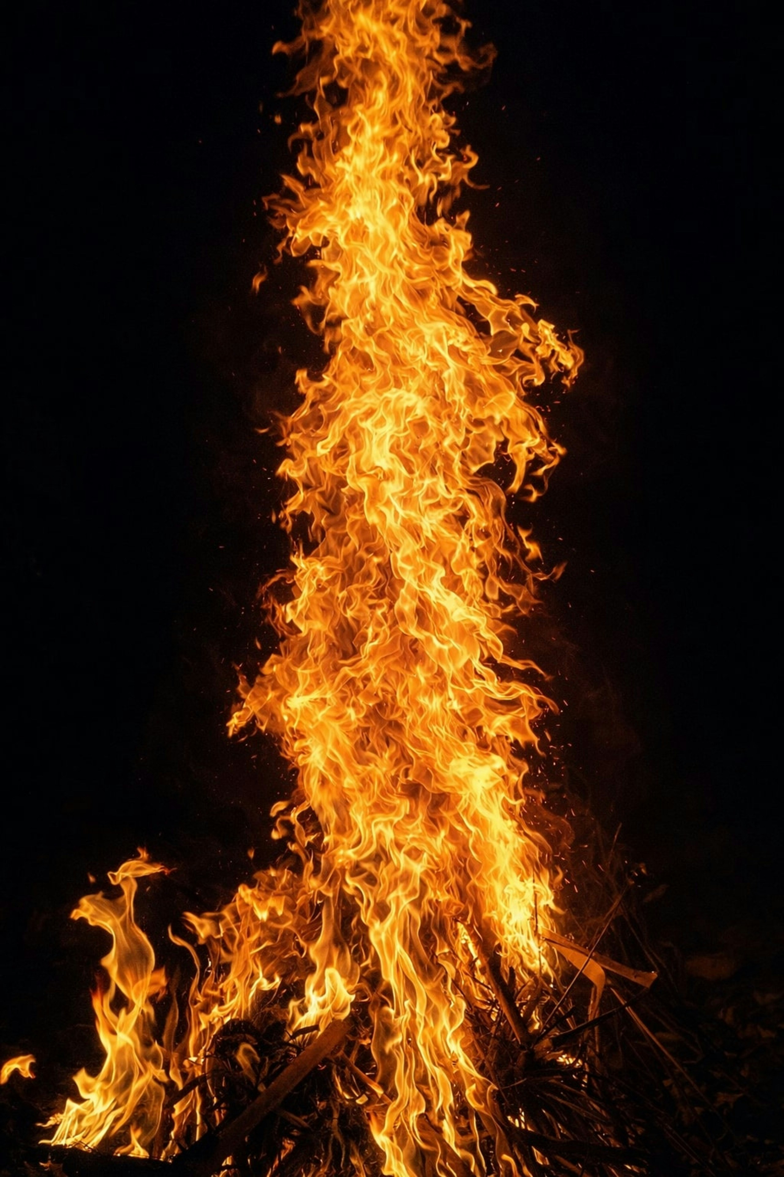 Photo by ommpattanaik