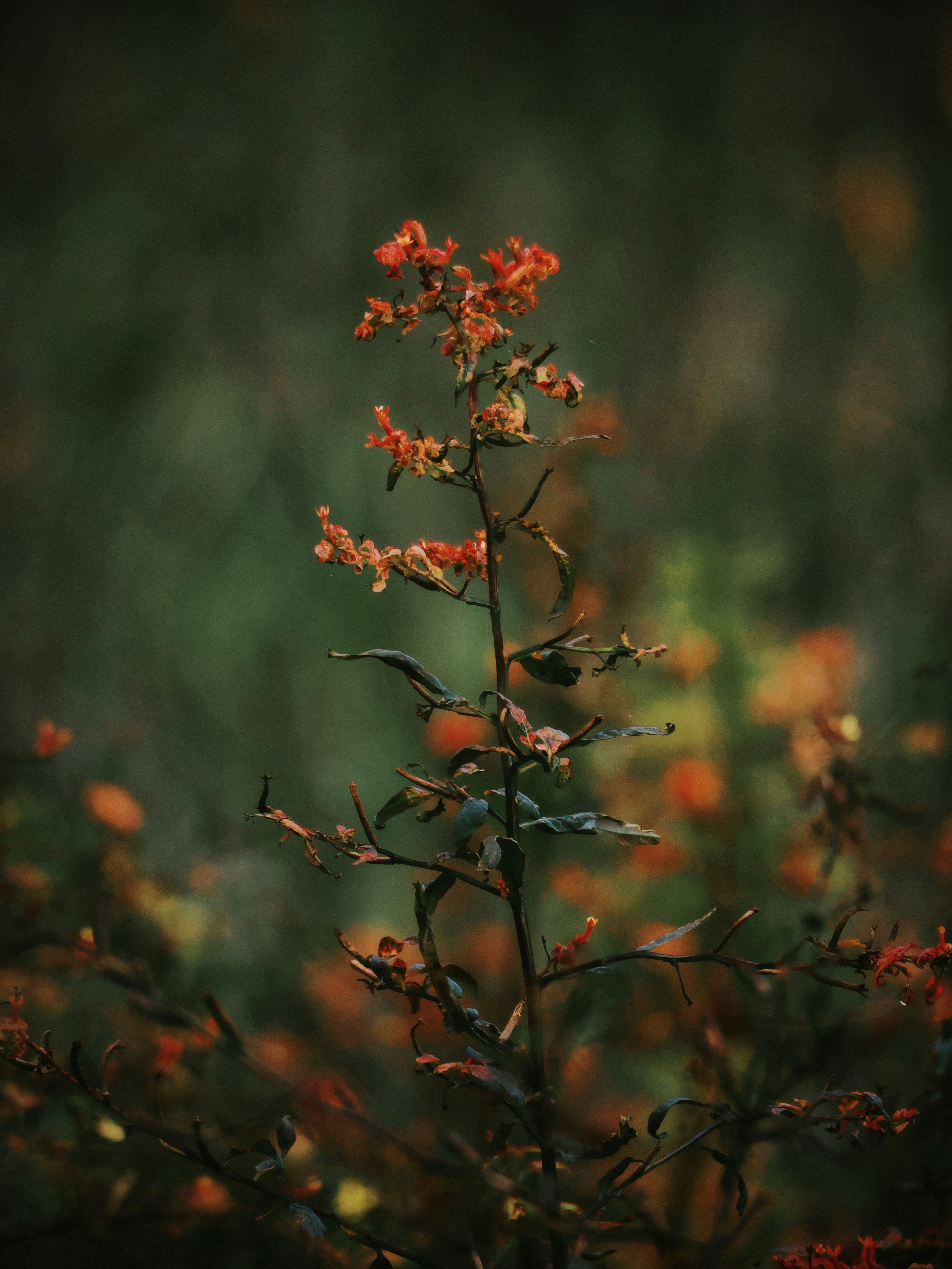 Photo by liliantruong2603