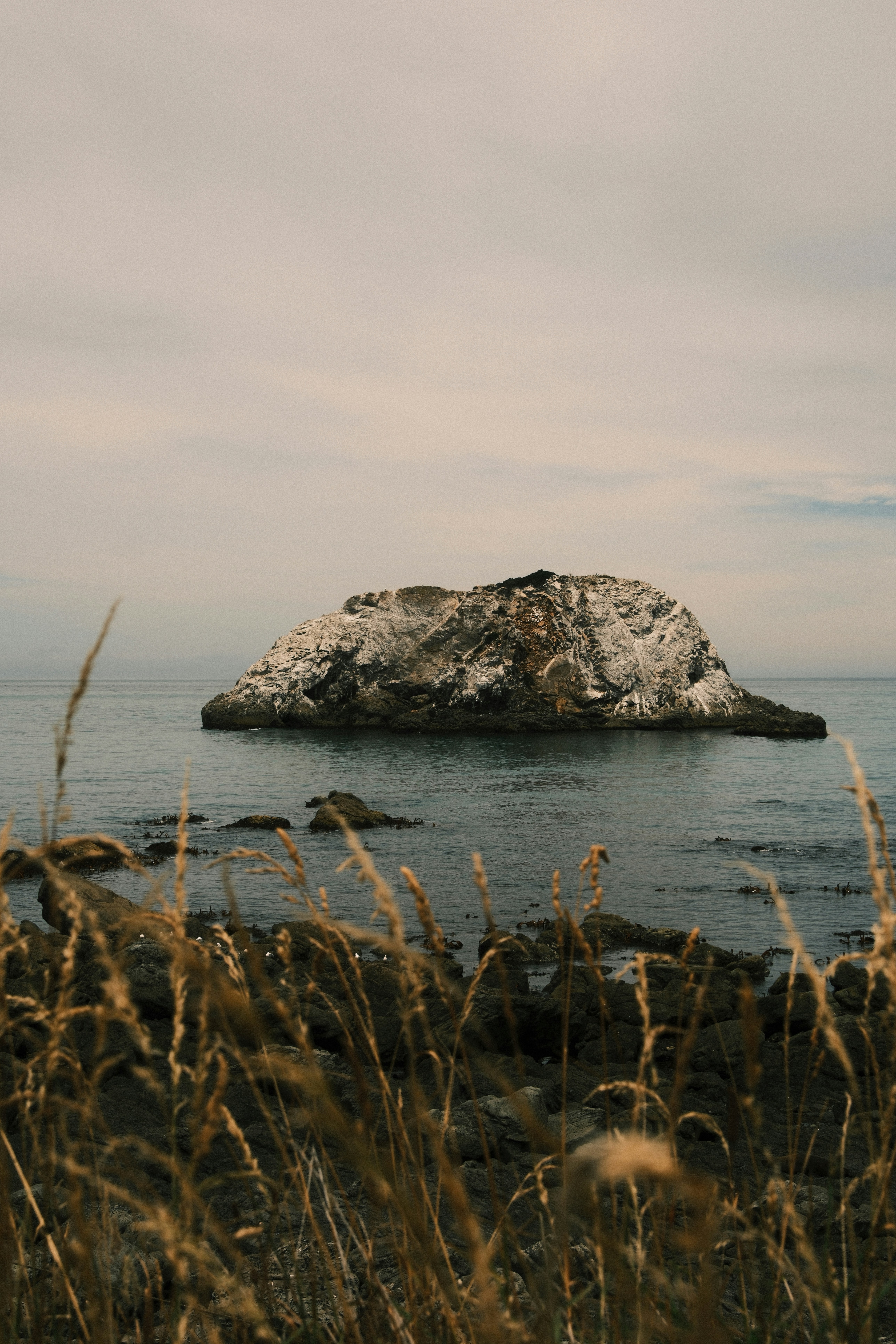 Photo by ginkgoshutter