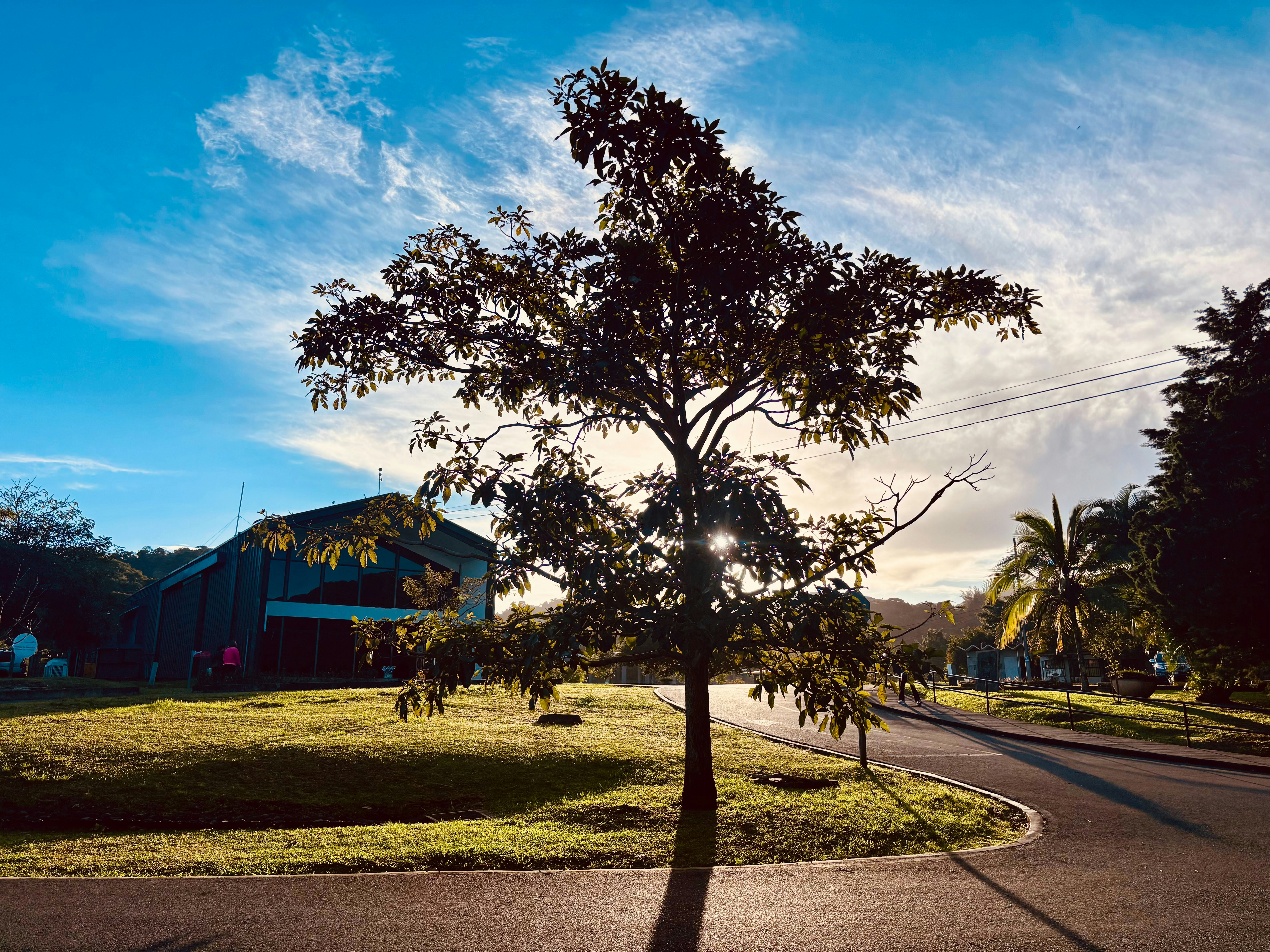 Photo by marlonquesadab