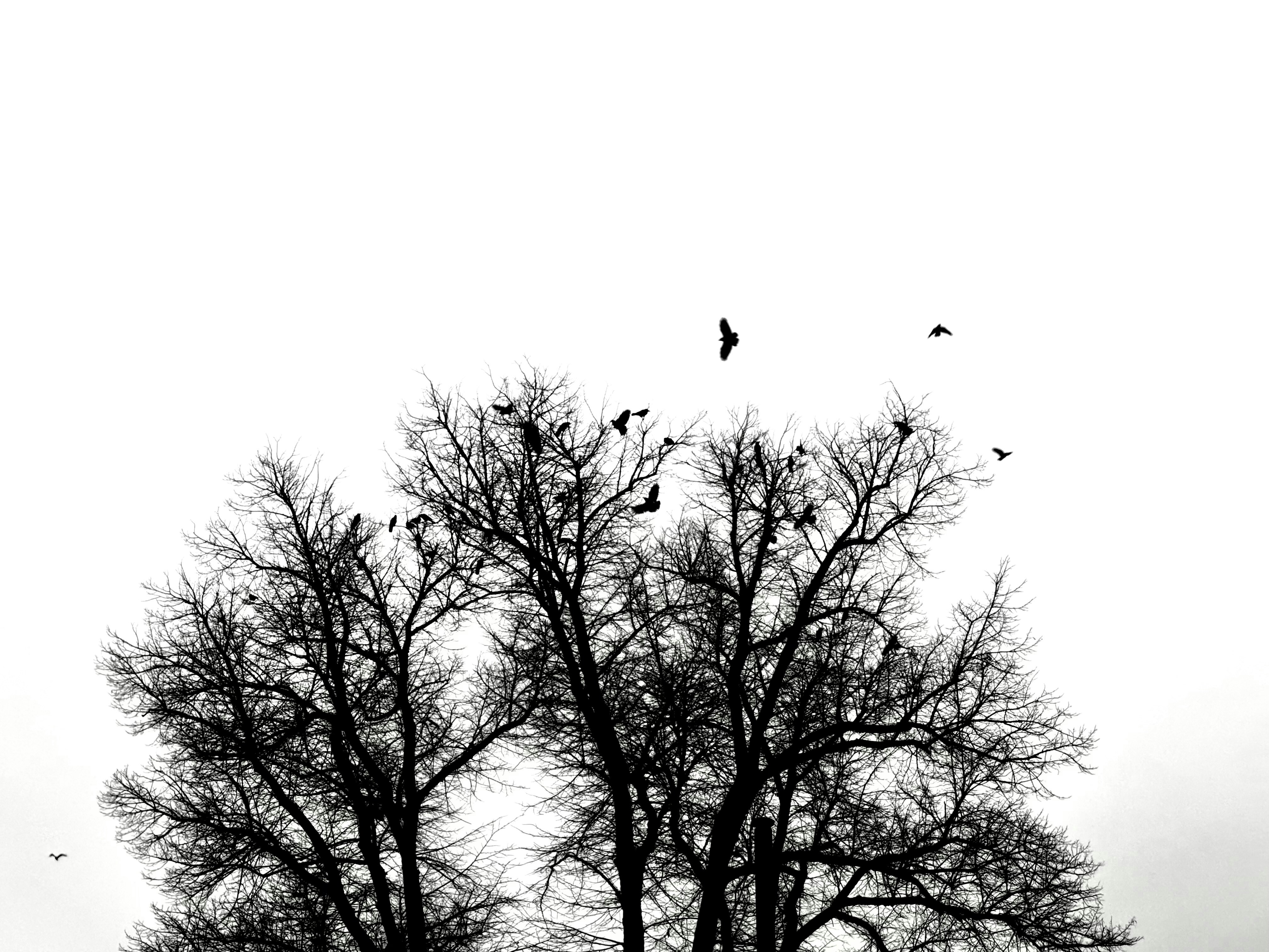 Photo by yaser_rahhal