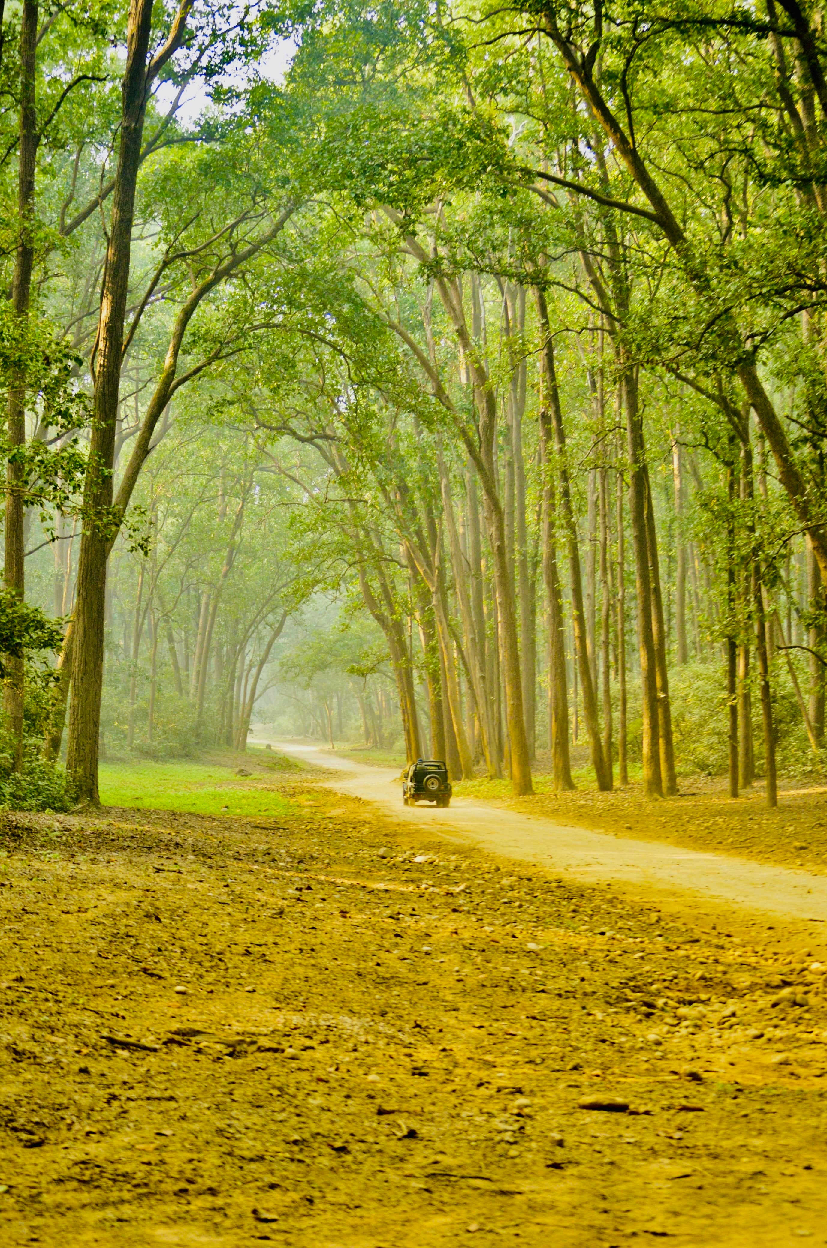 Photo by omkar_fcb1899