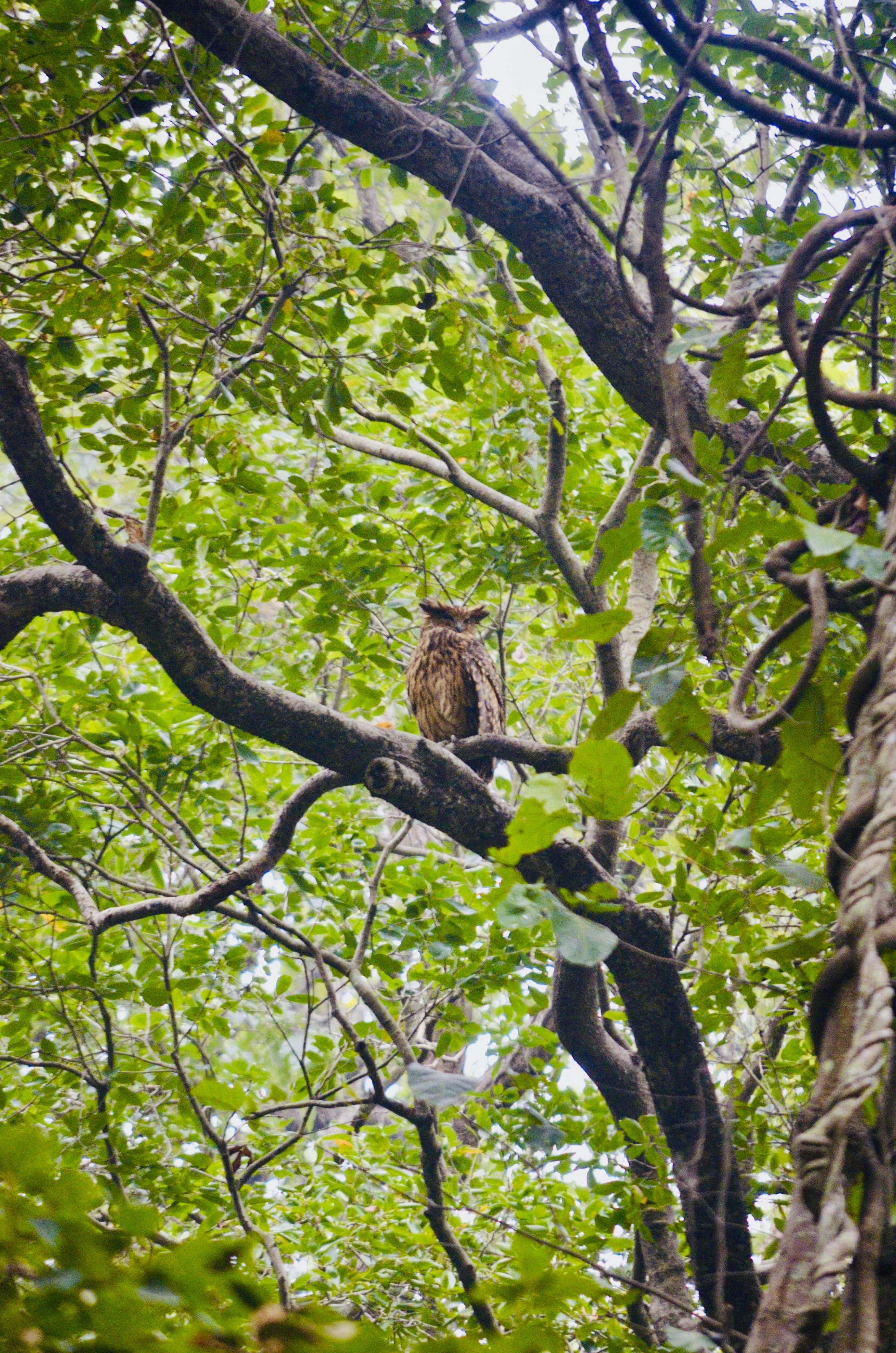 Photo by omkar_fcb1899