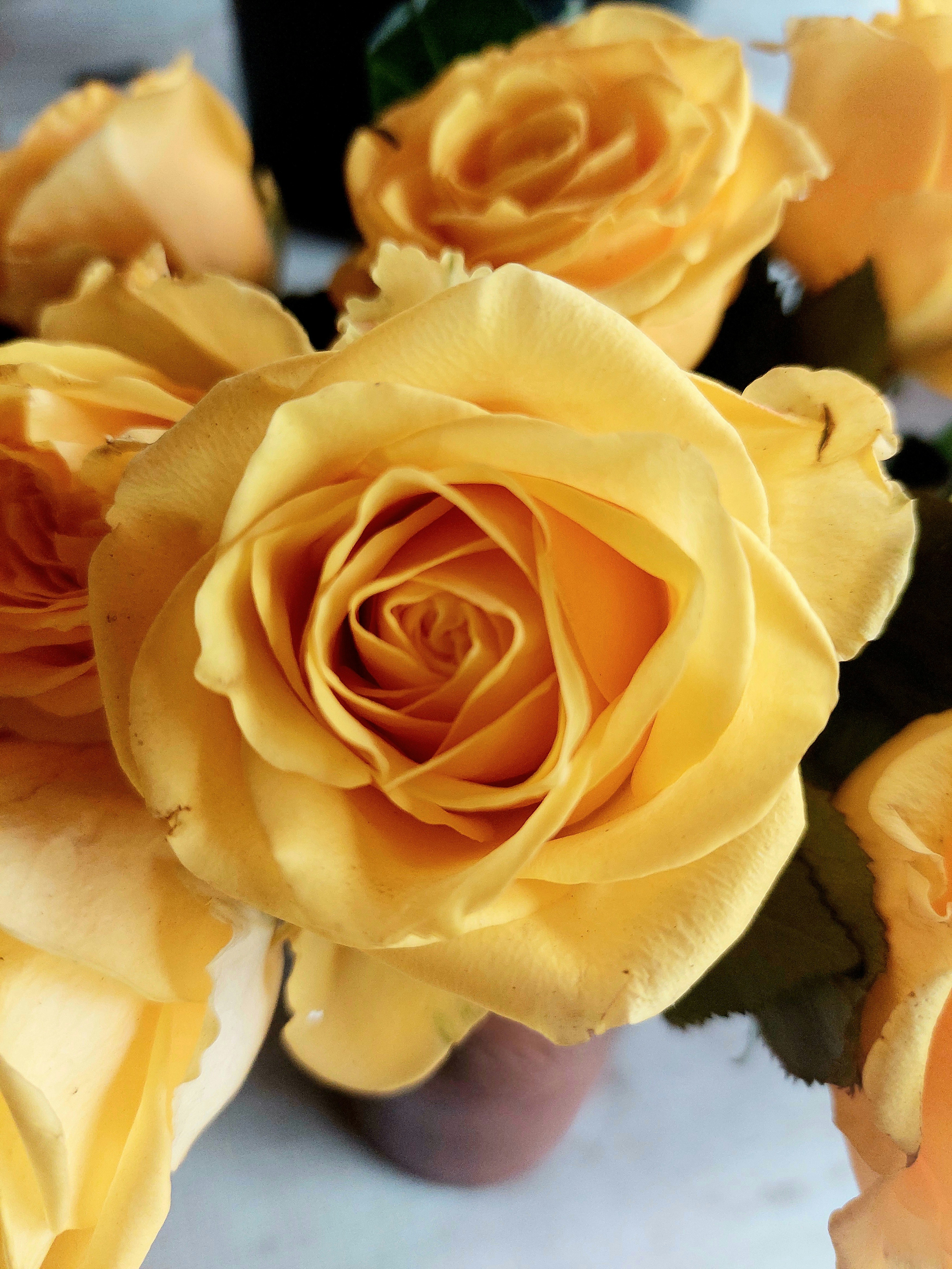 Photo by suraiyaaysha