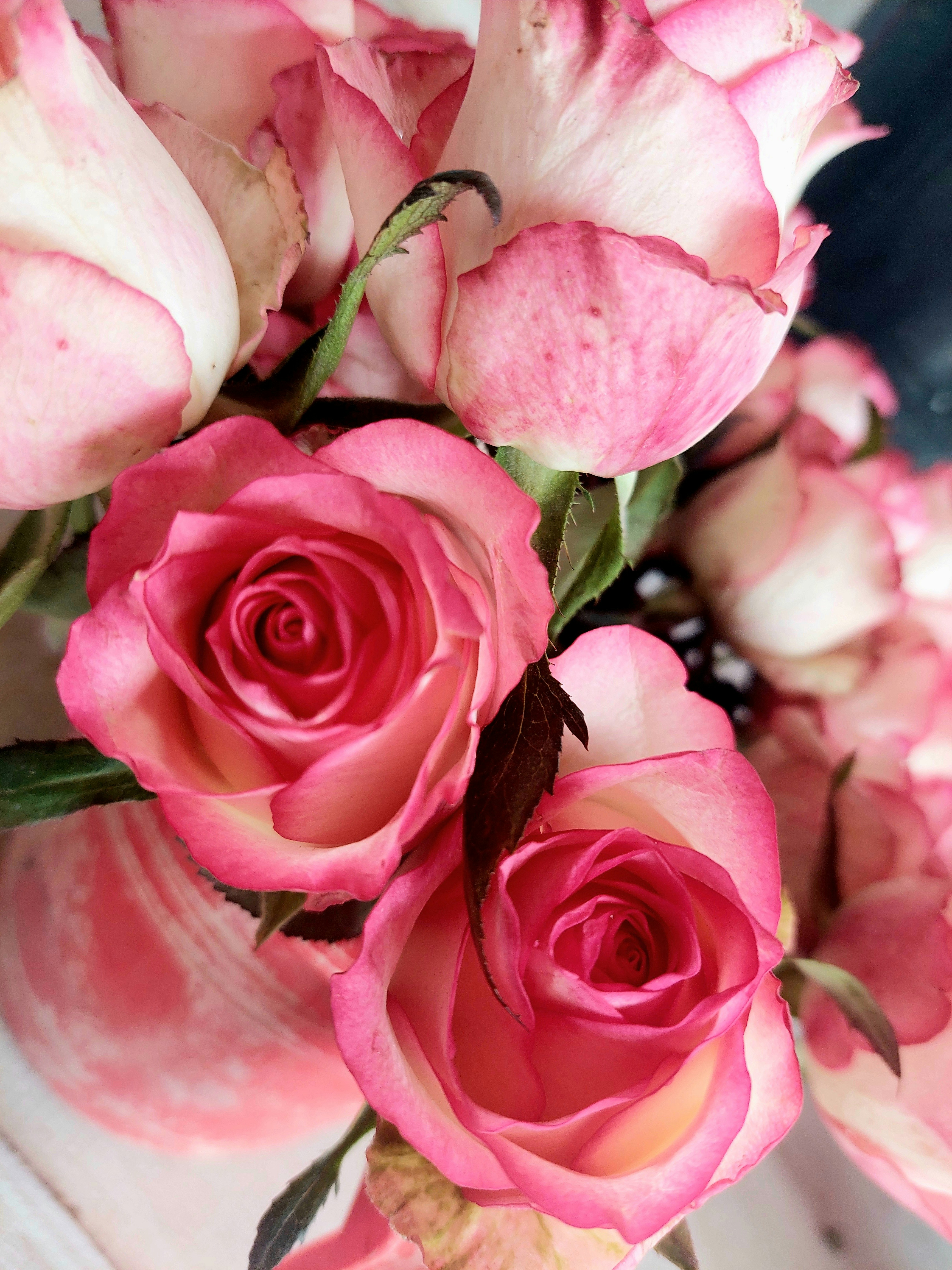 Photo by suraiyaaysha