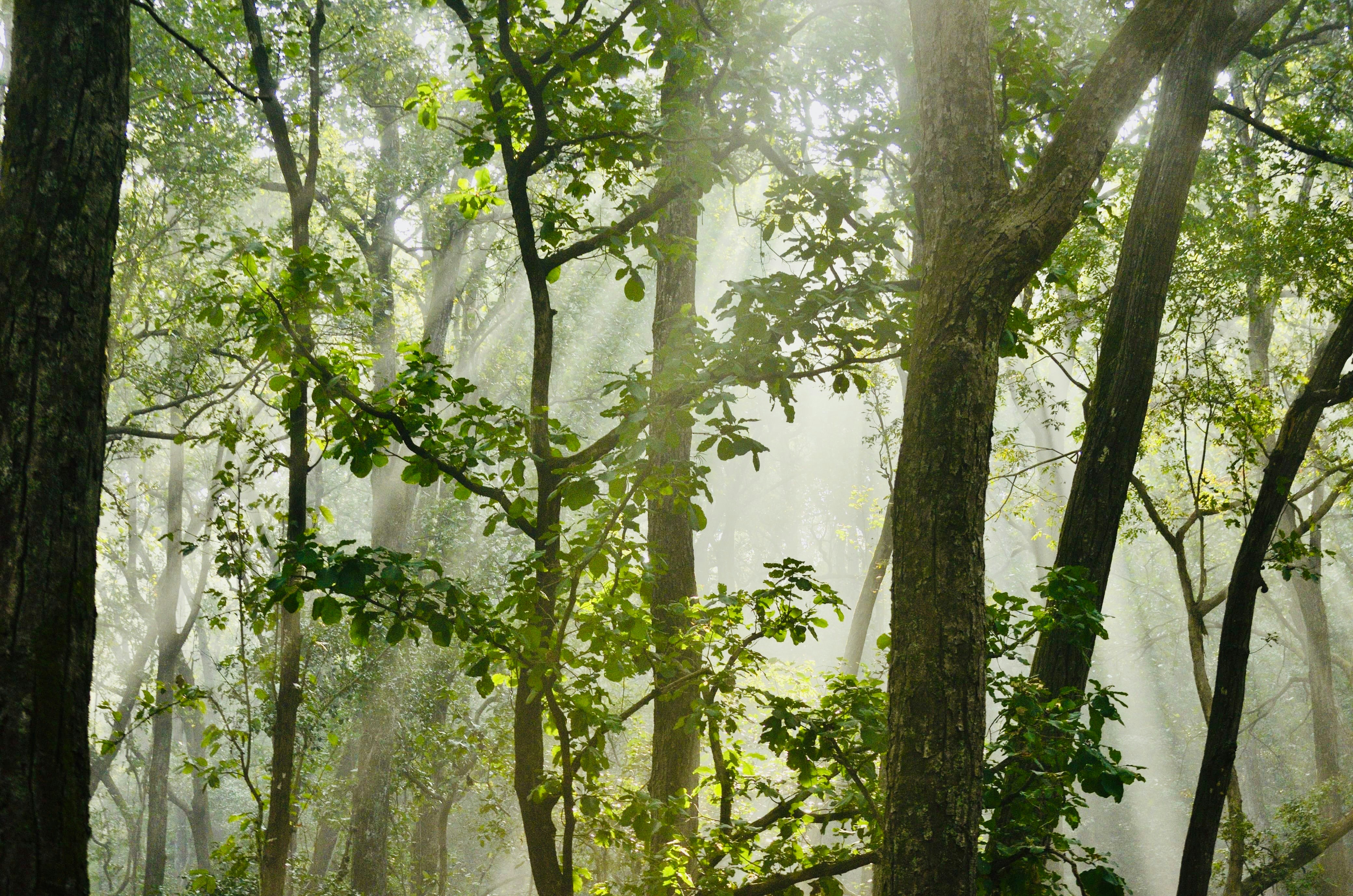 Photo by omkar_fcb1899