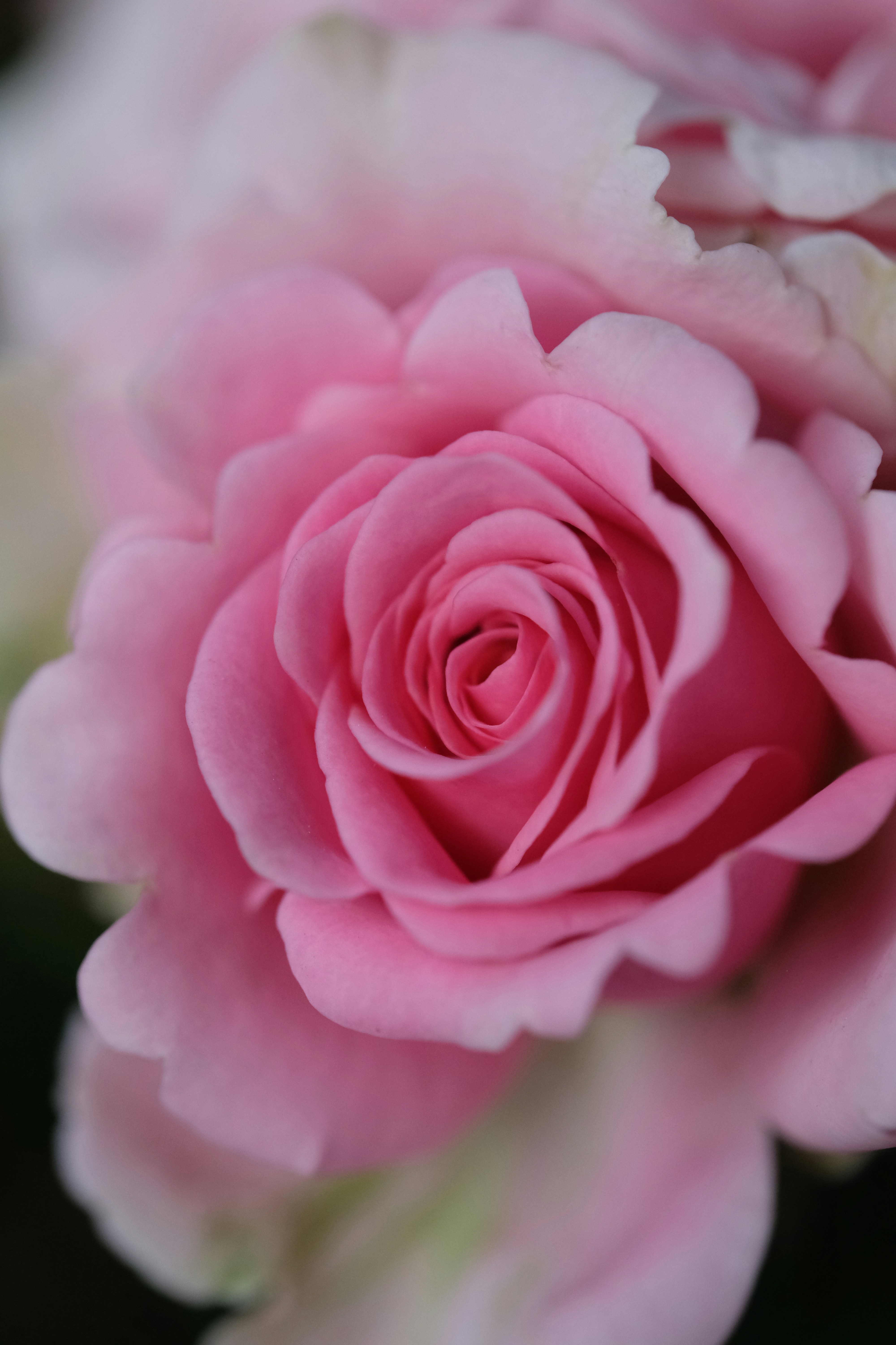 Photo by eedgarivann