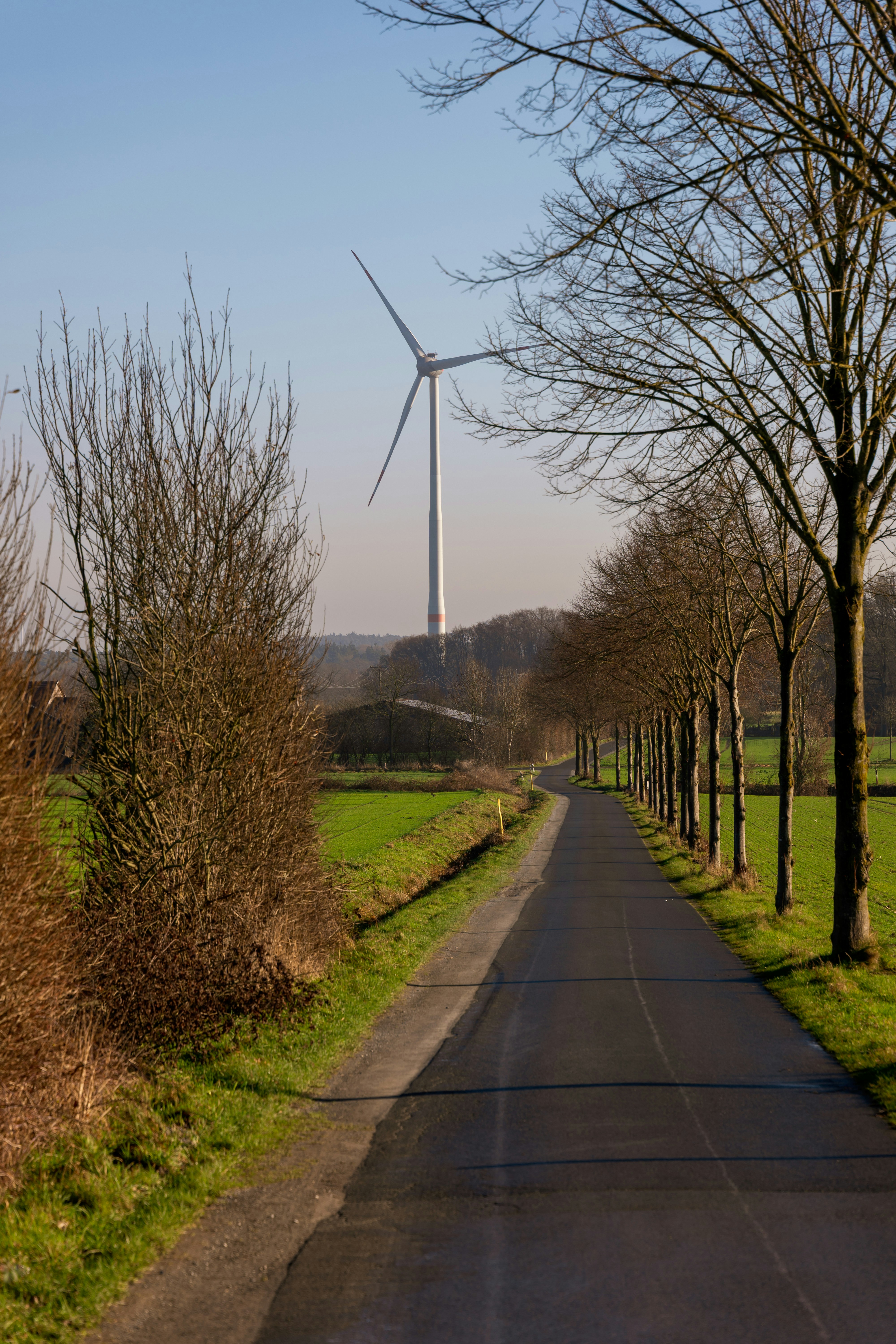 Un aerogenerador solitario se alza en un paisaje rural.