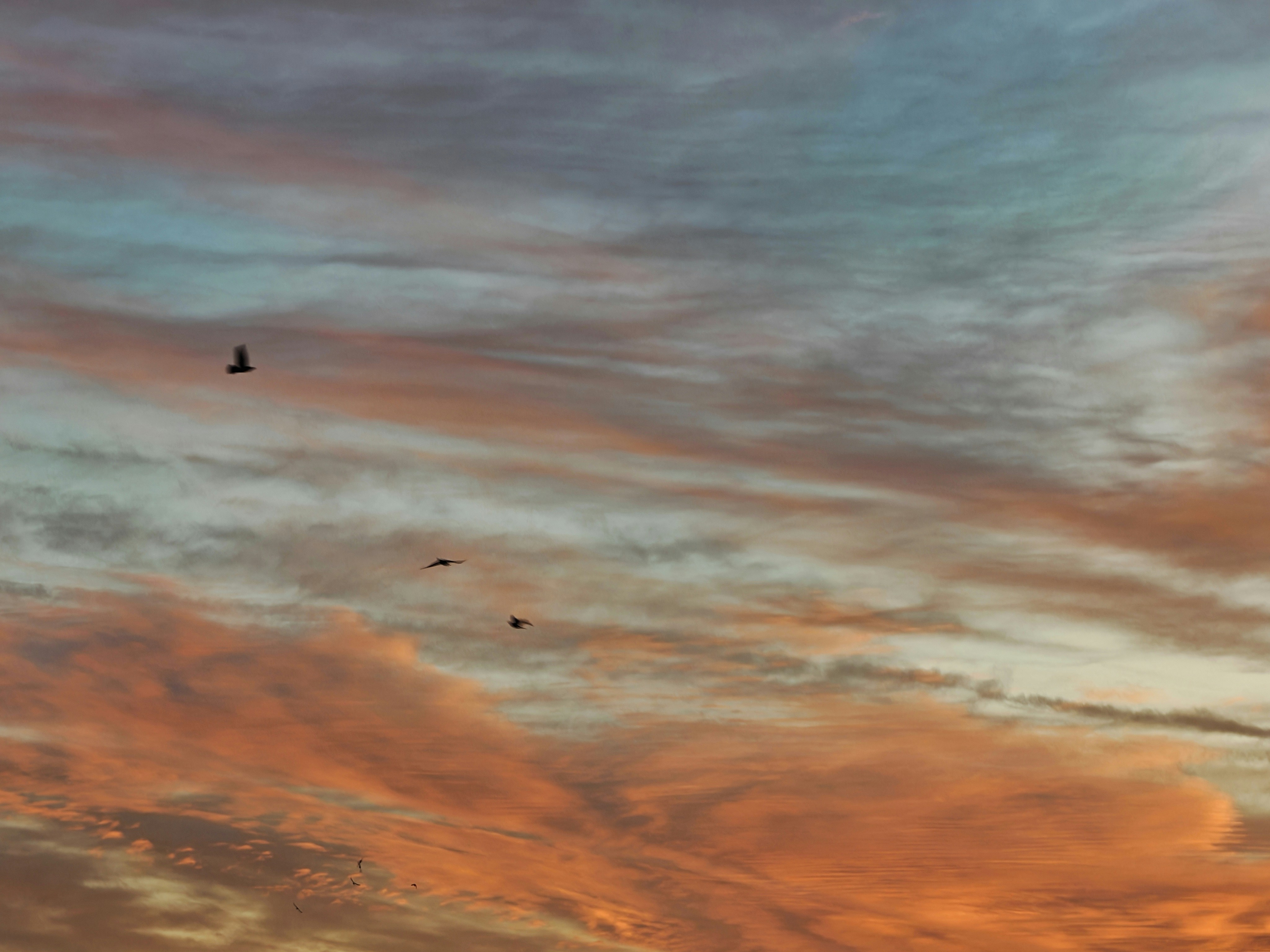 Photo by mahmoudzakariya