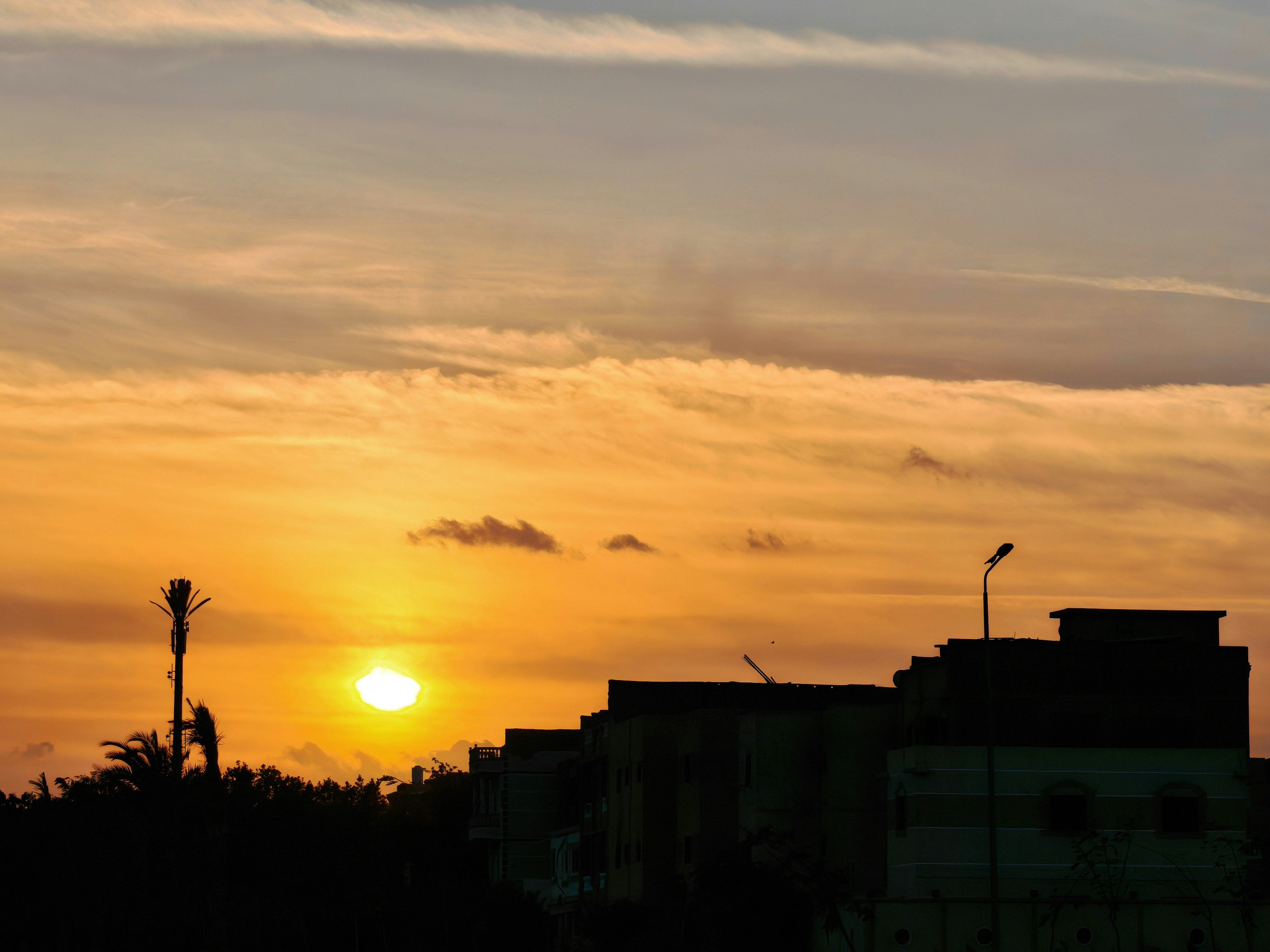 Photo by mahmoudzakariya