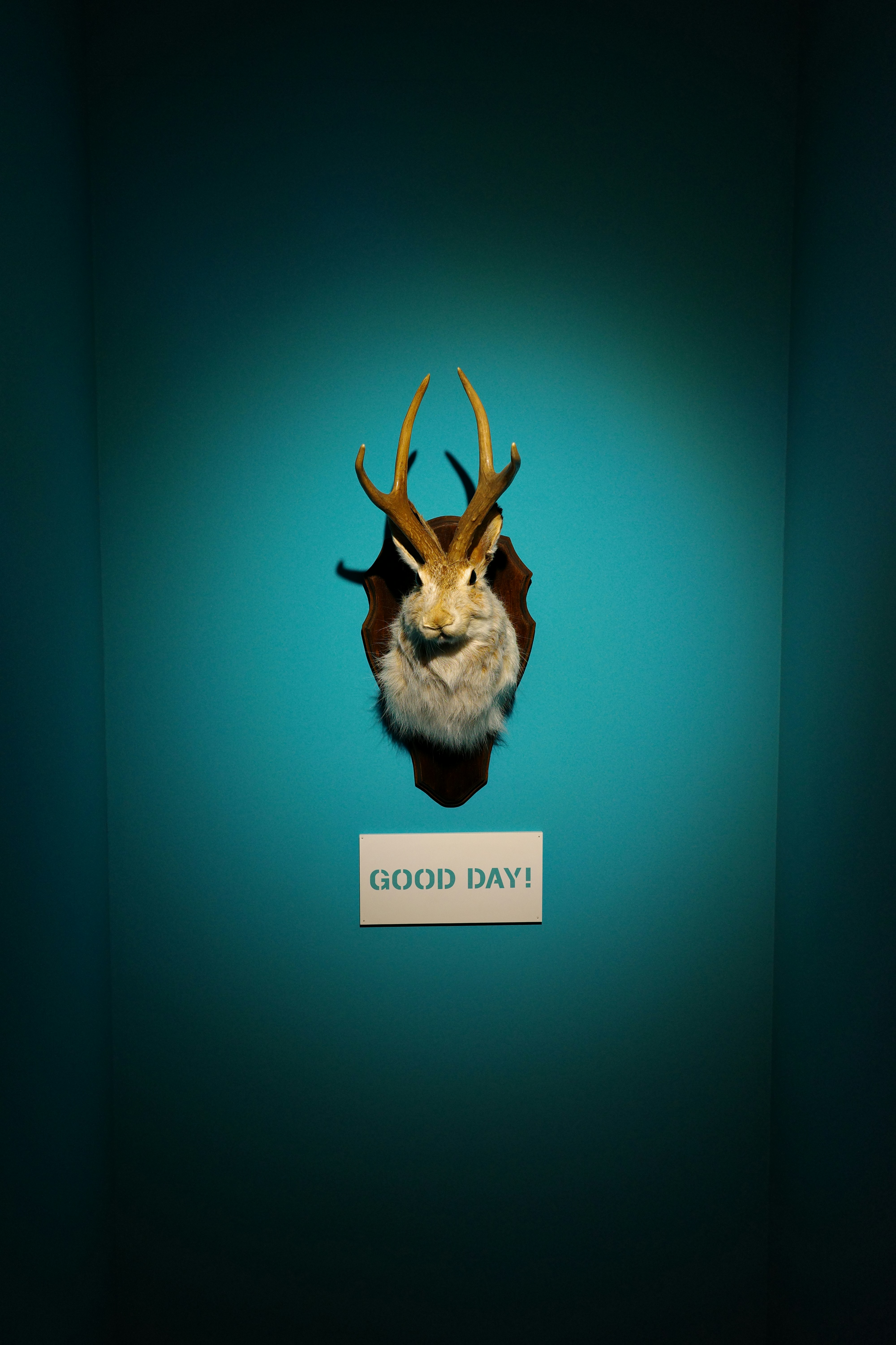 Taxidermied jackalope with 'good day!' sign.