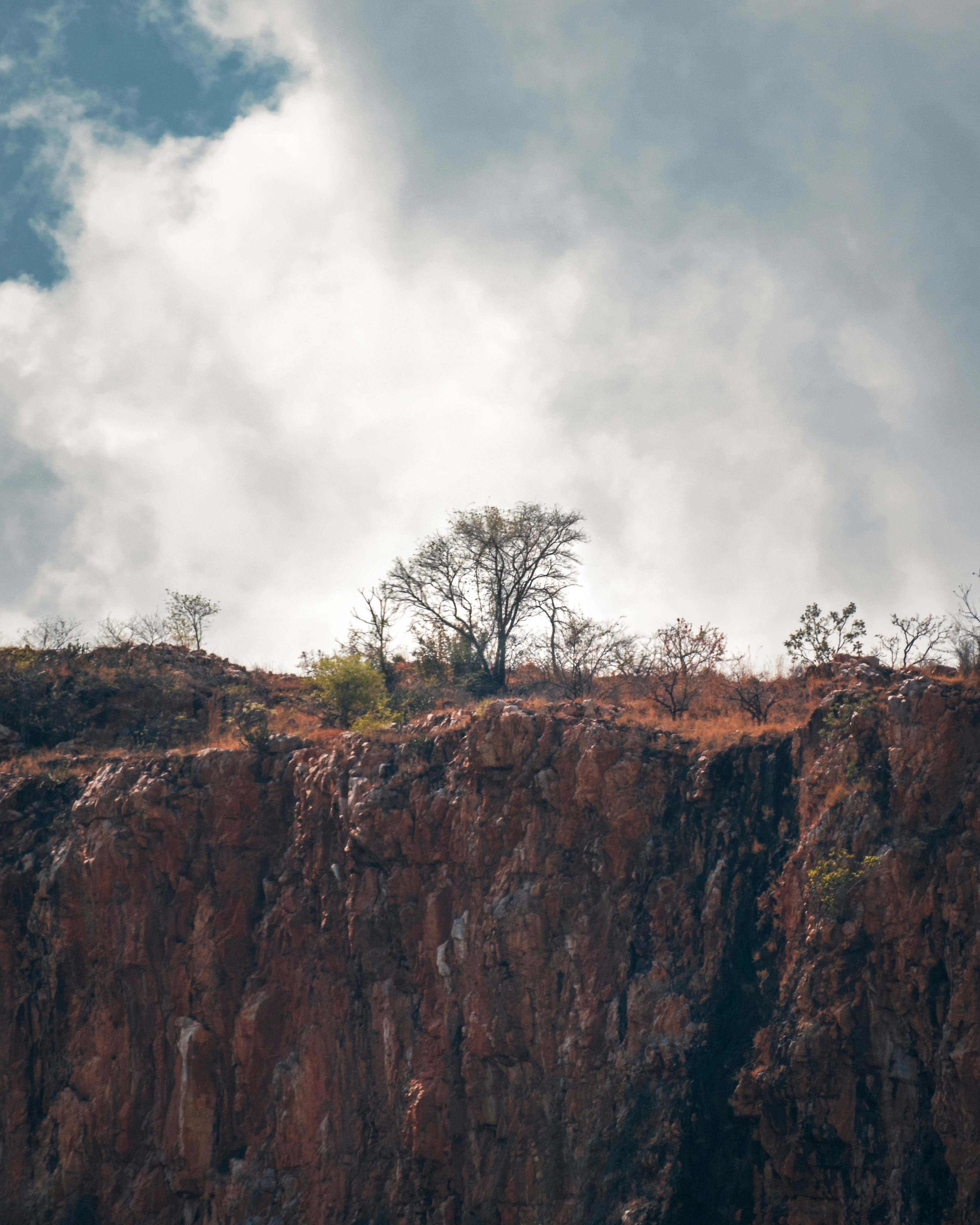 Photo by rishabhj911