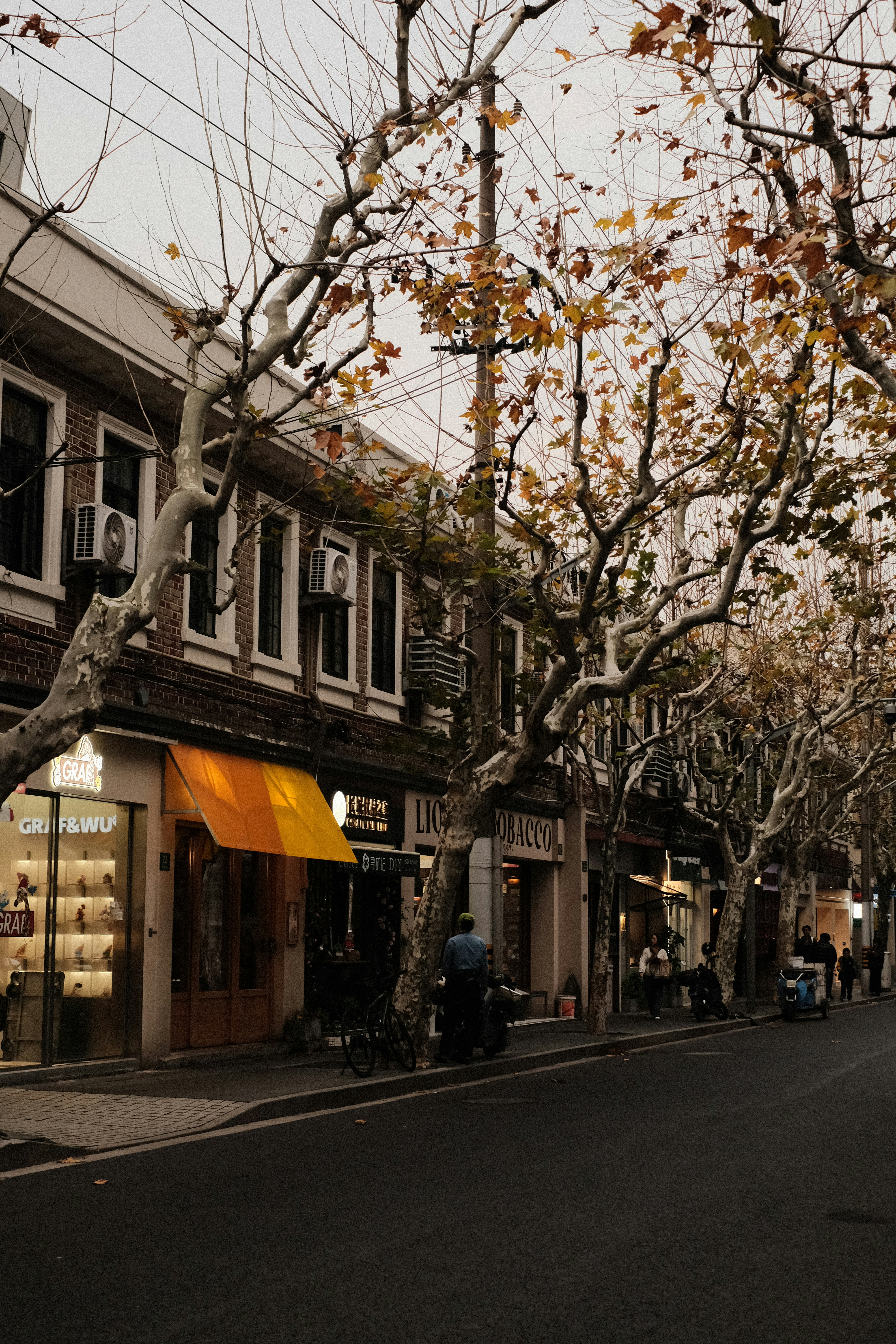 Street lined with shops and bare trees