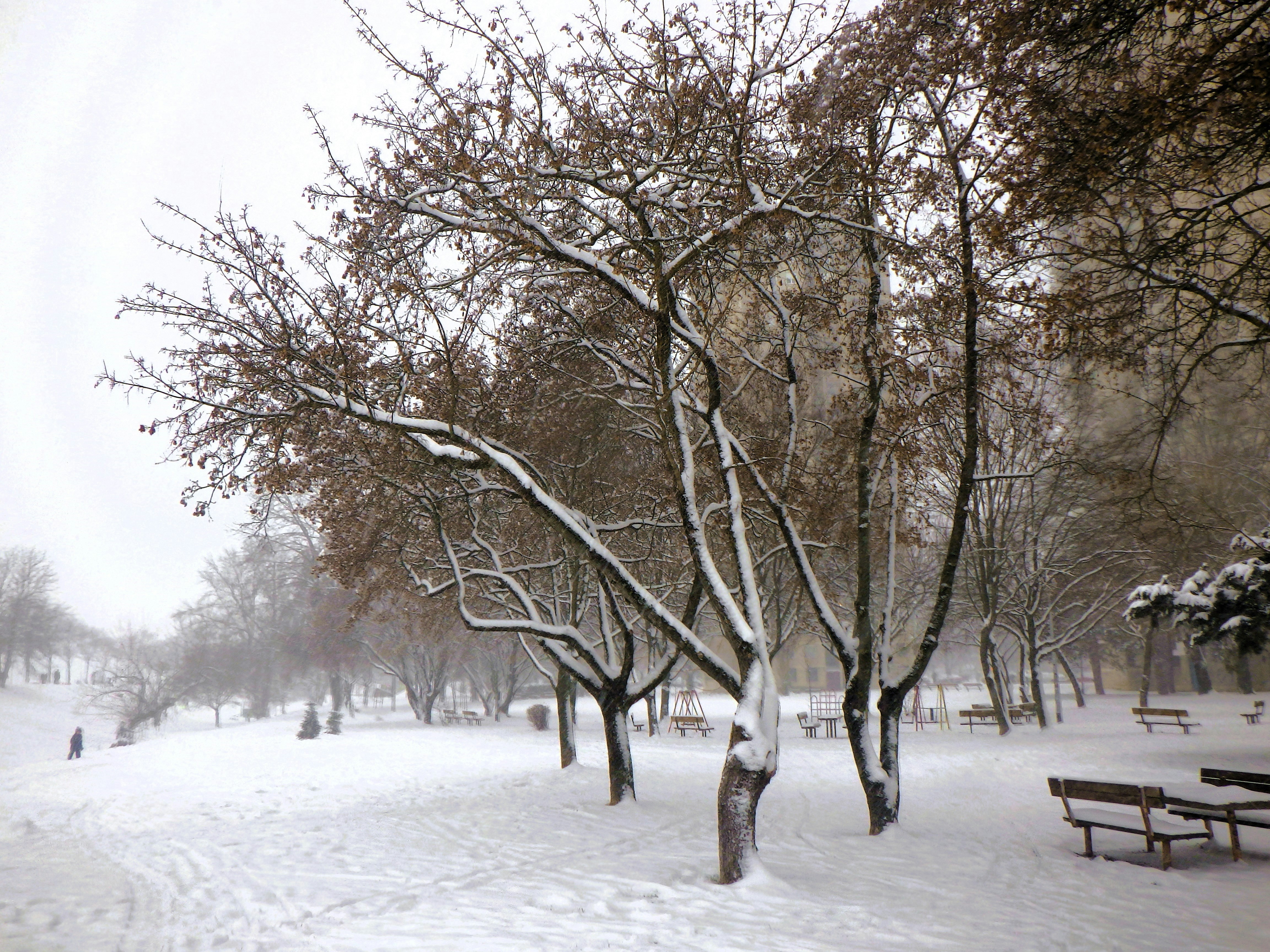 Photo by dominapetric