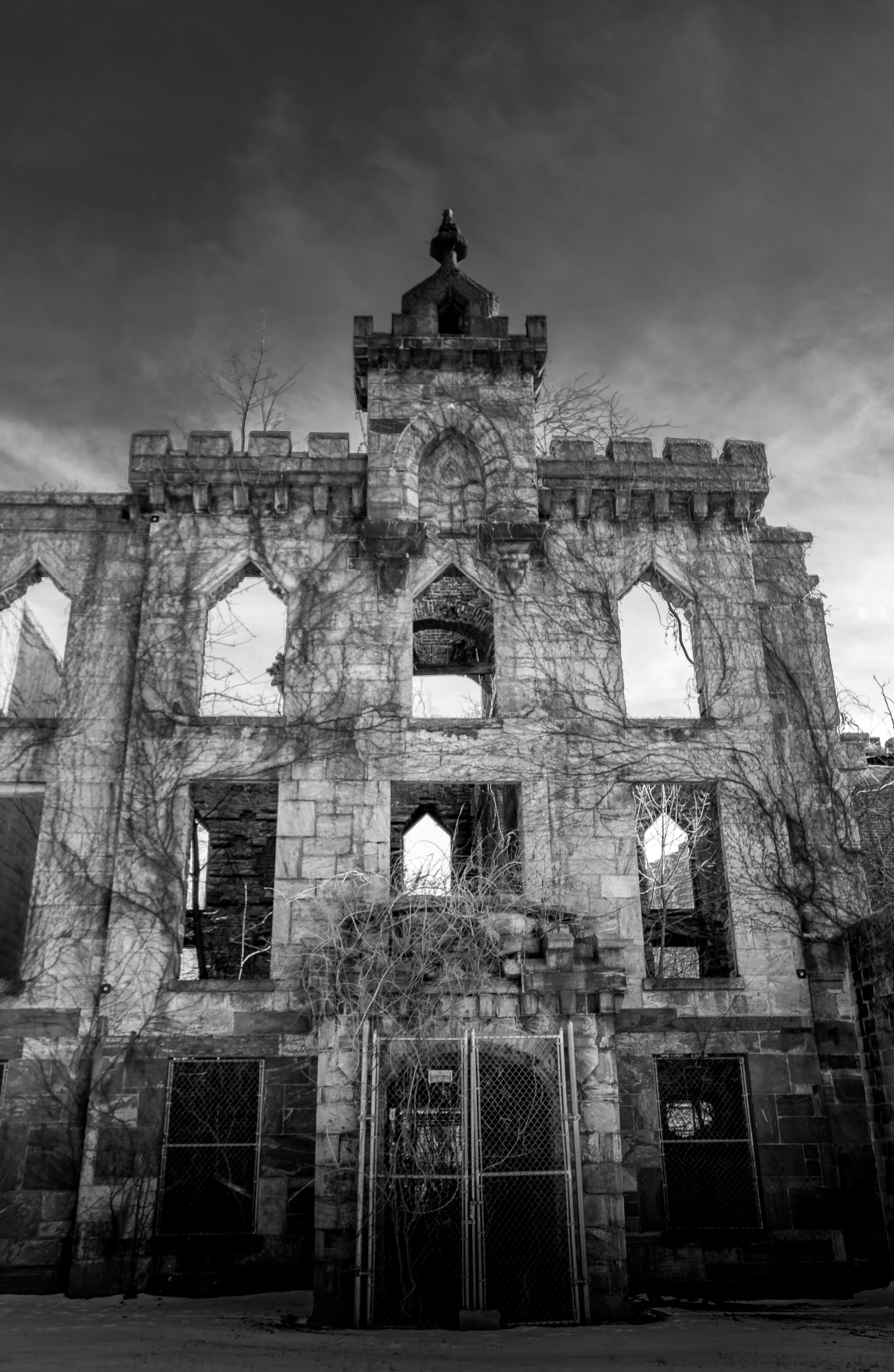 Photo by zoshuacolah