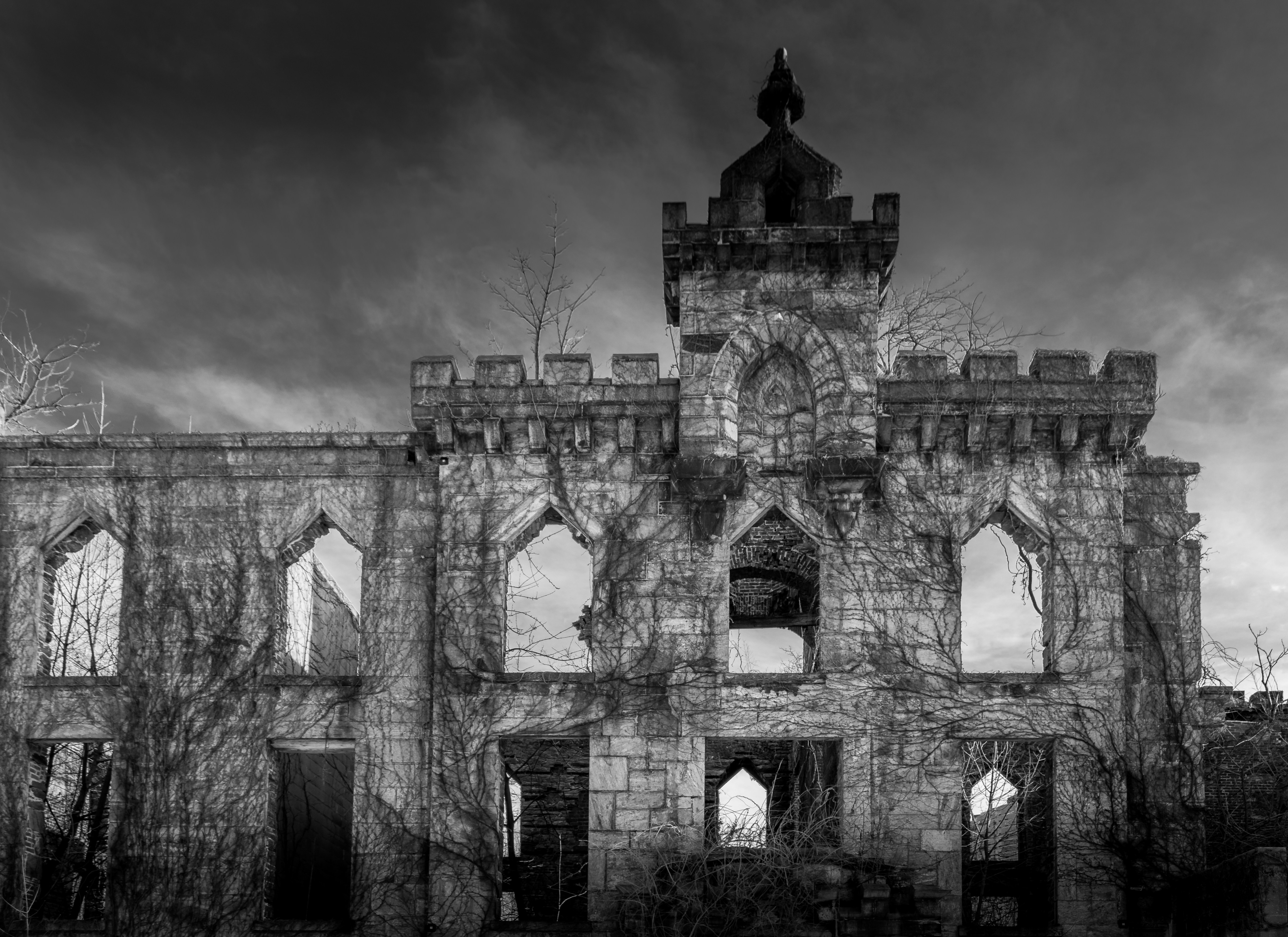 Photo by zoshuacolah