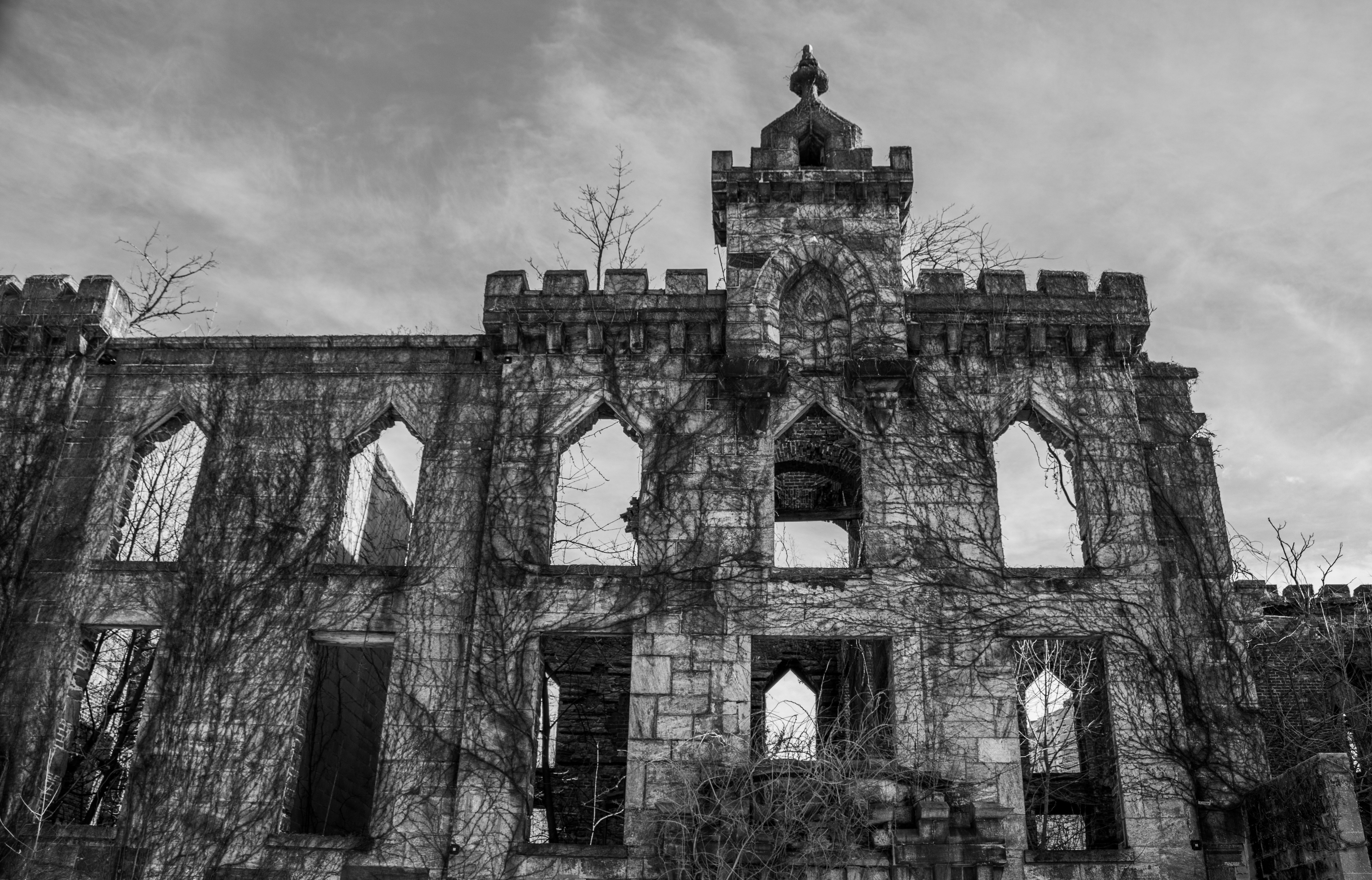 Photo by zoshuacolah