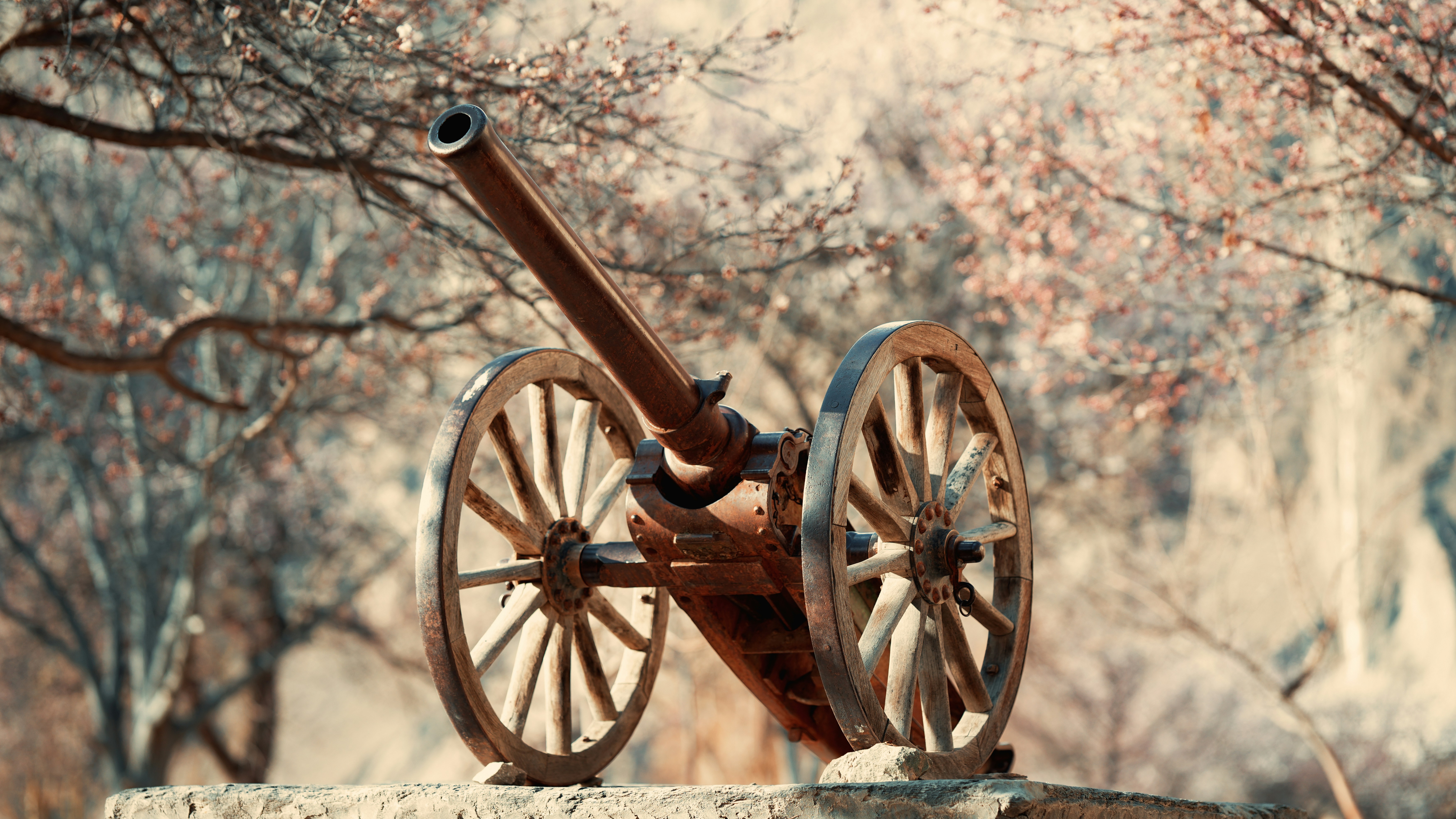 Photo by aisar_ahmed