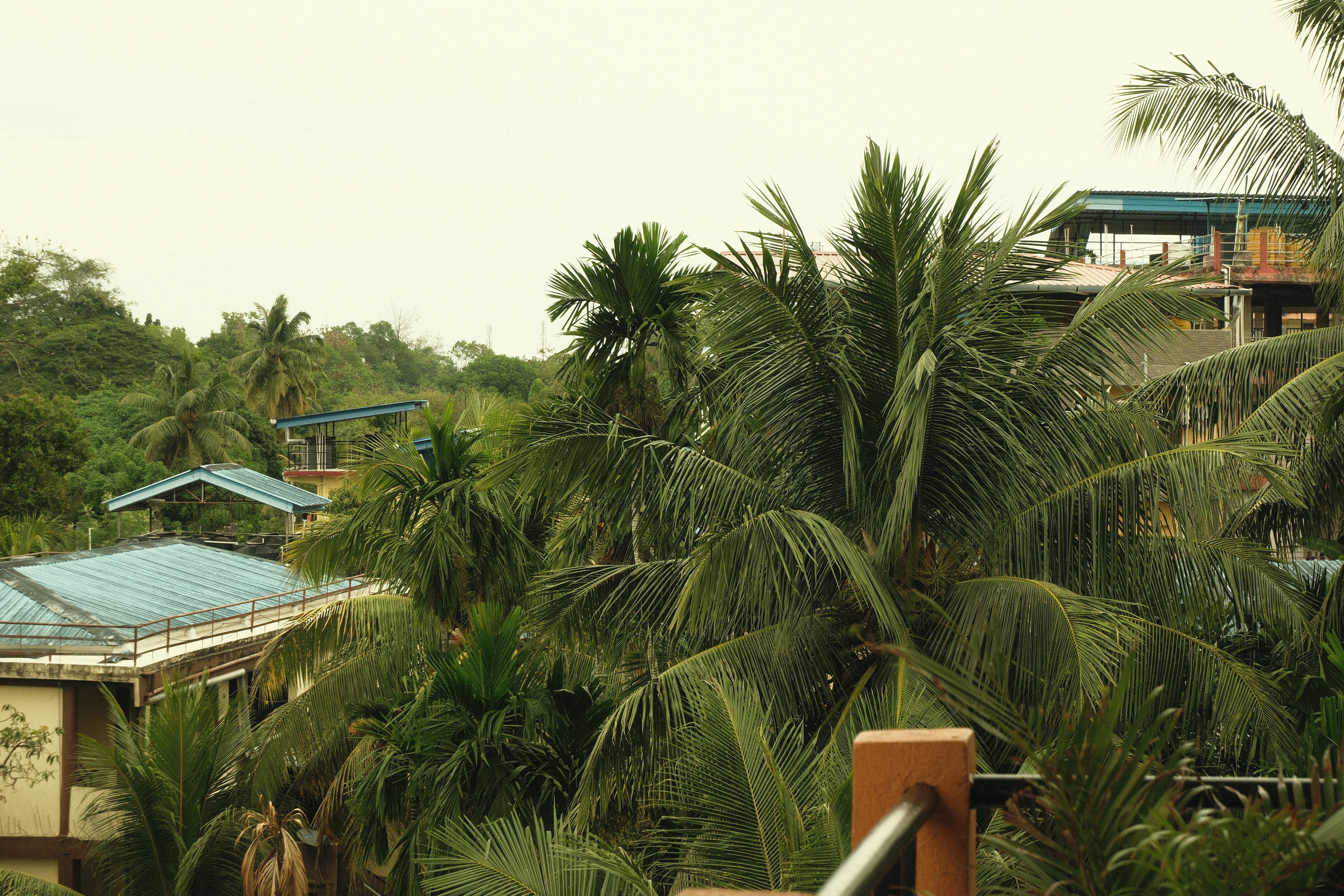 Photo by rkdotdesign