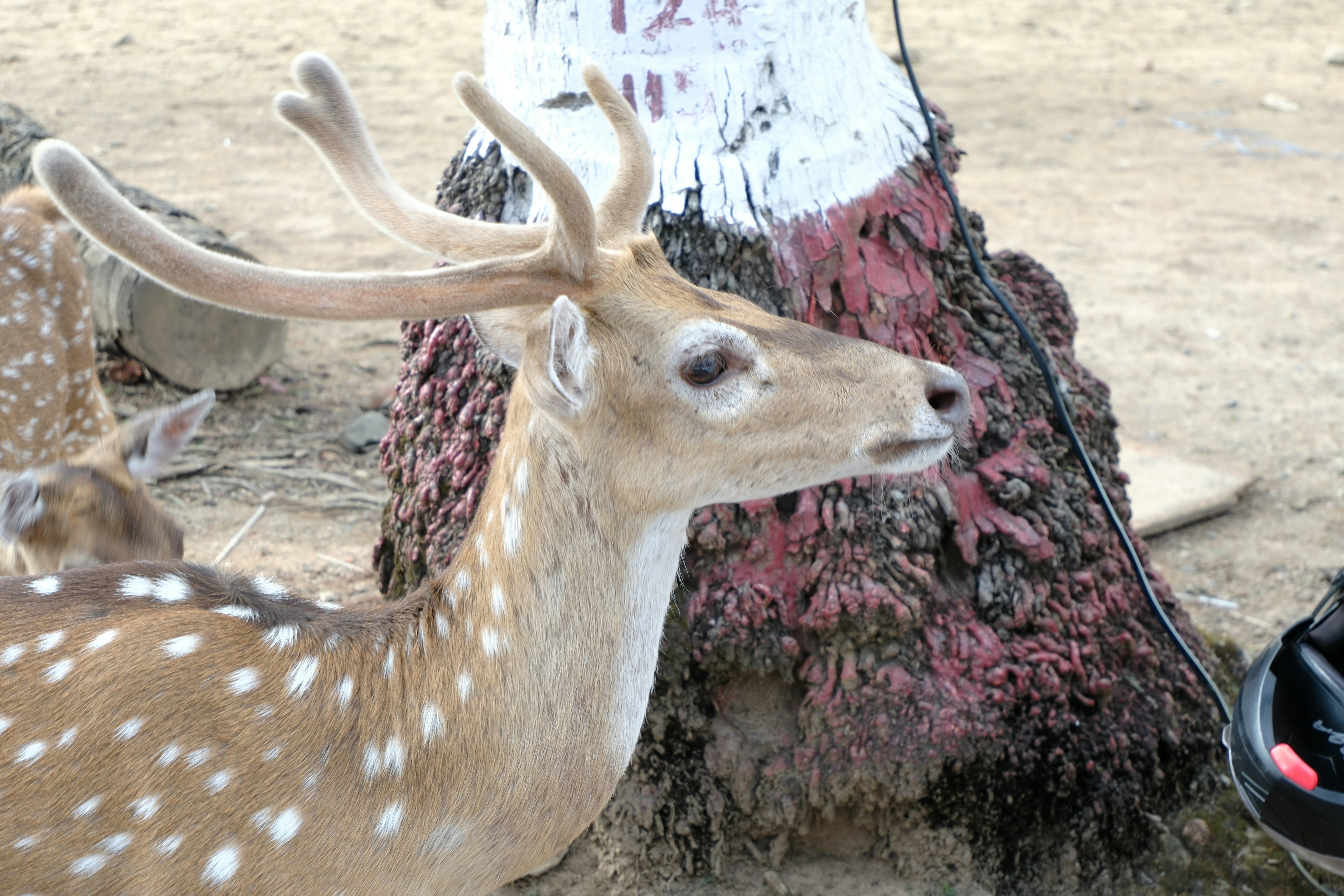 Photo by rkdotdesign