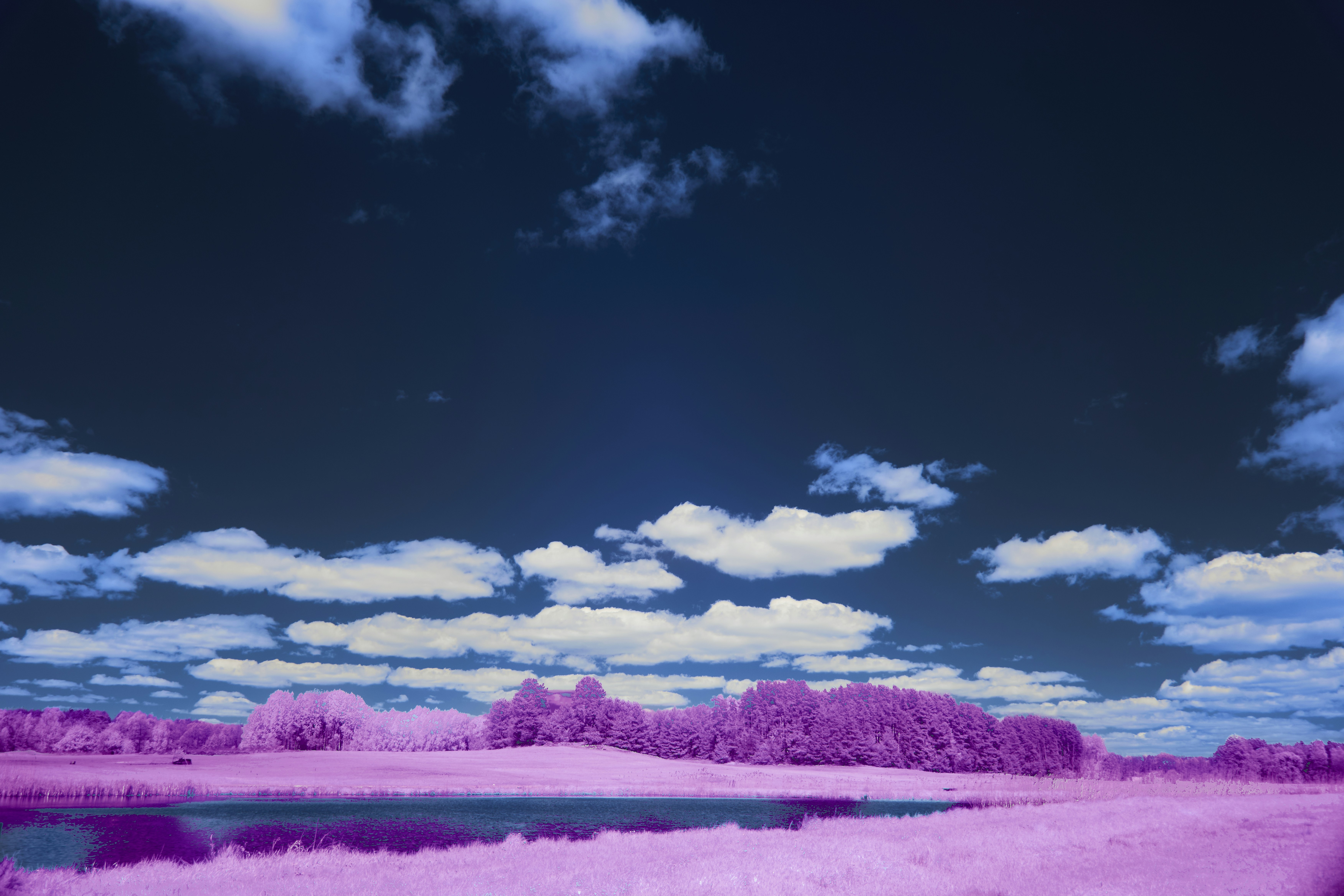 Photo by wolfgang_hasselmann