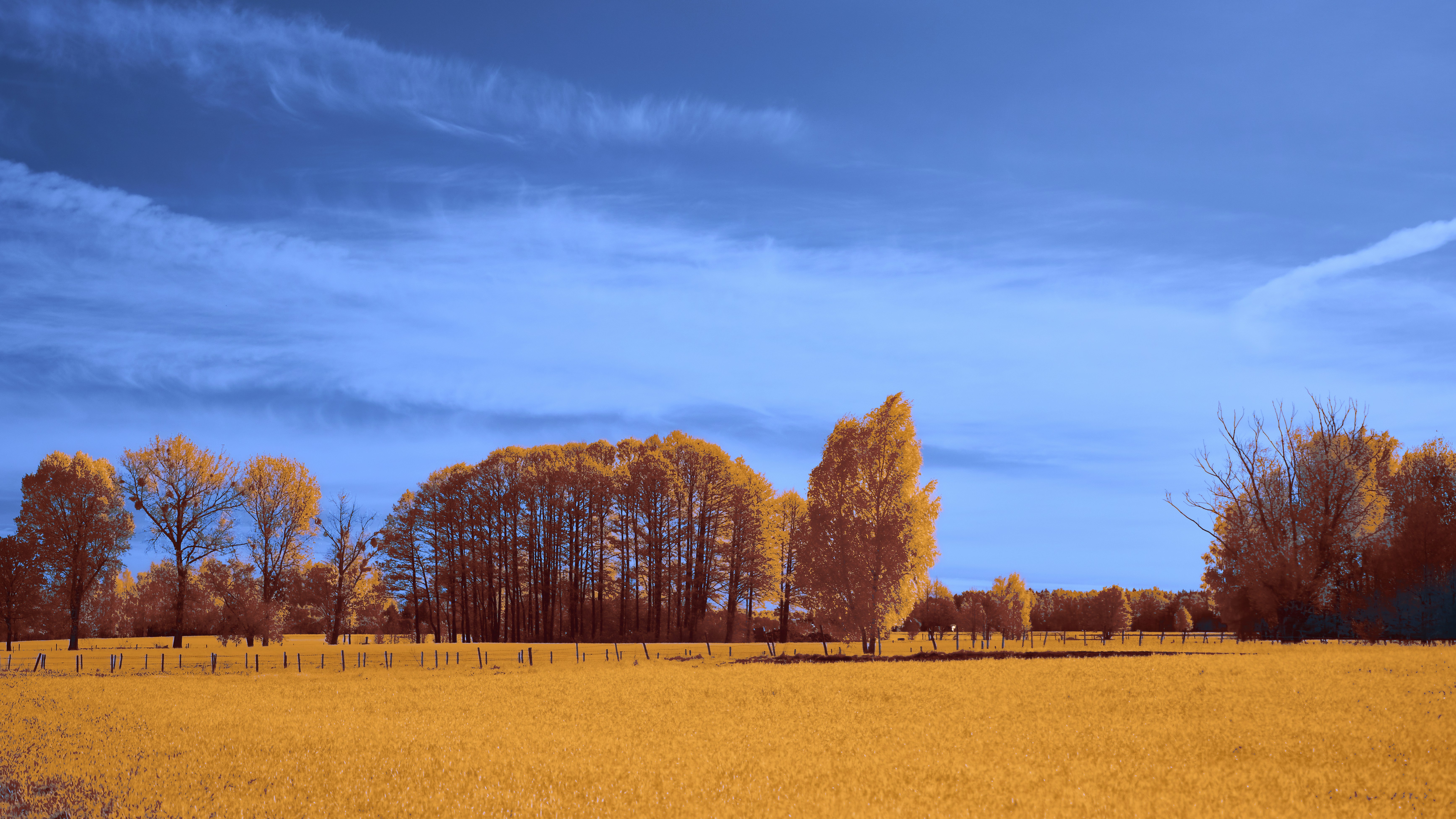 Photo by wolfgang_hasselmann