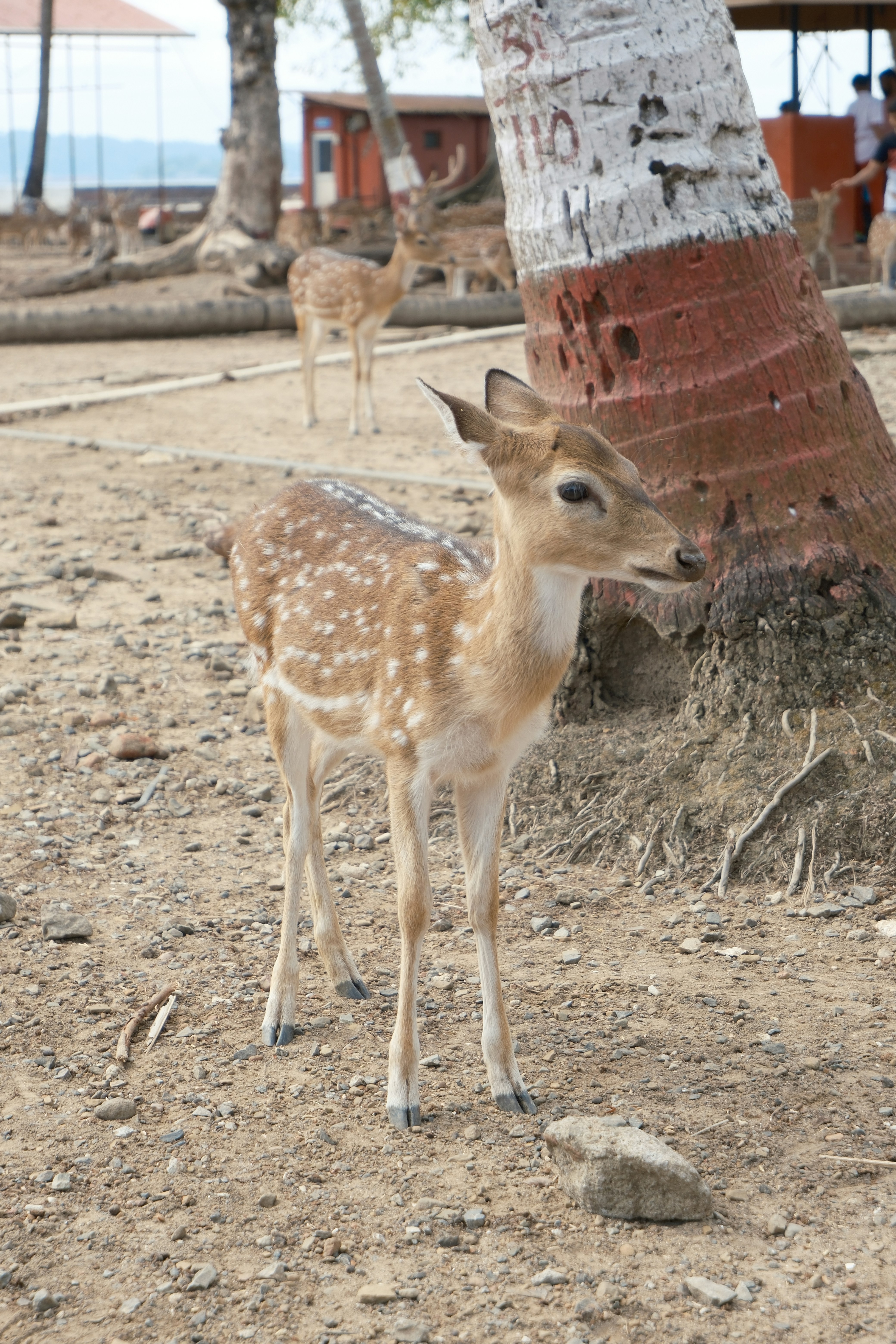 Photo by rkdotdesign