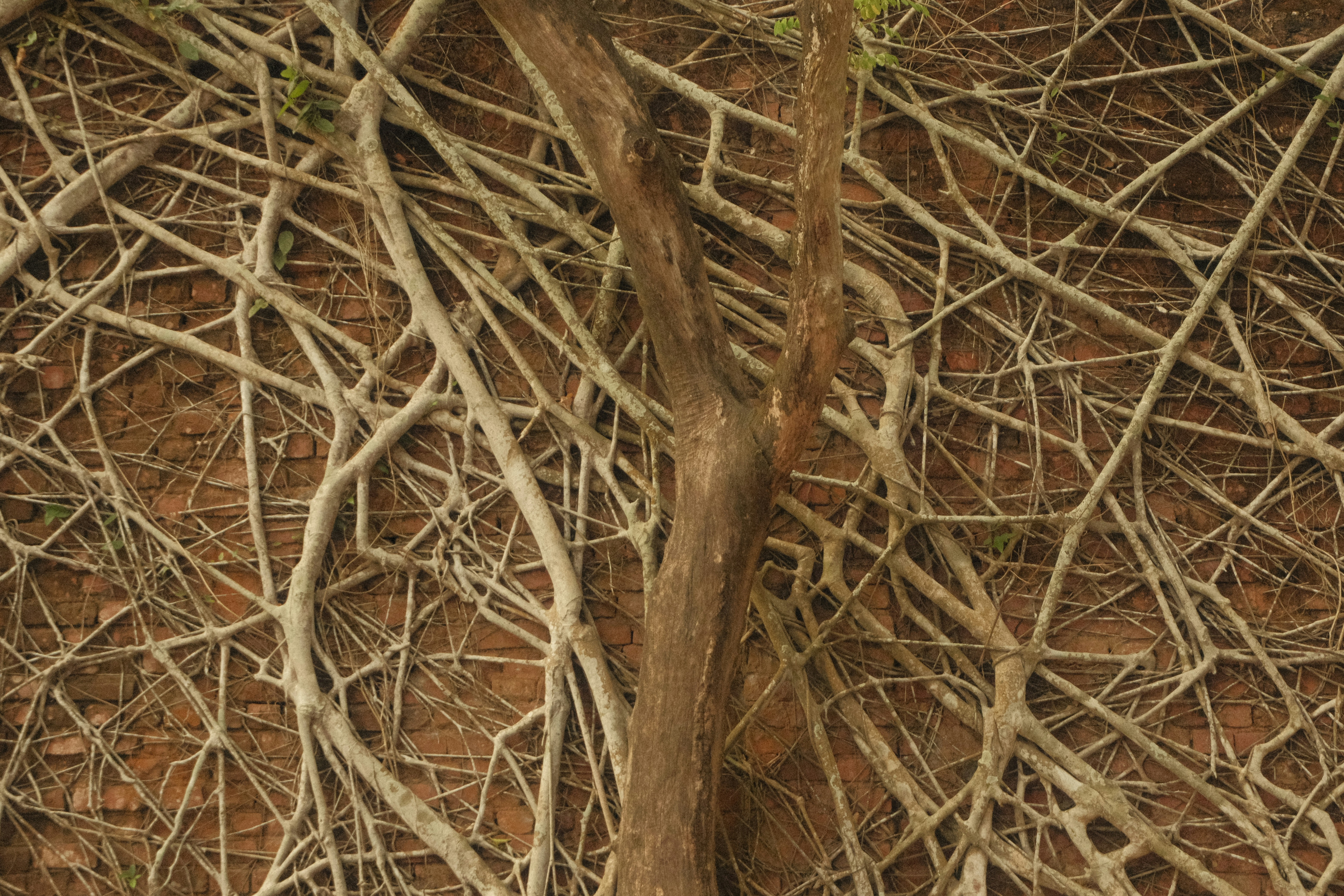 Photo by rkdotdesign