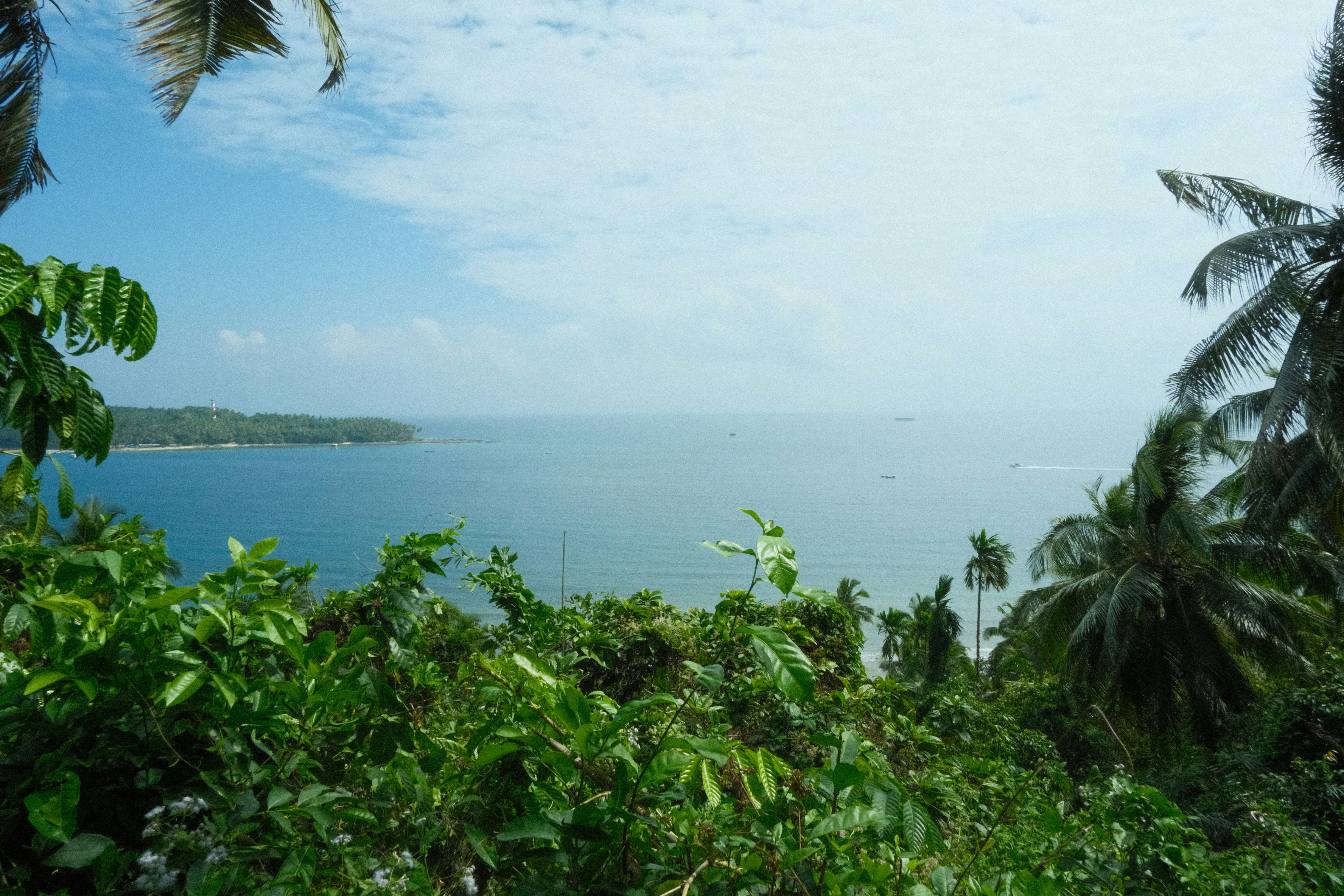 Photo by rkdotdesign