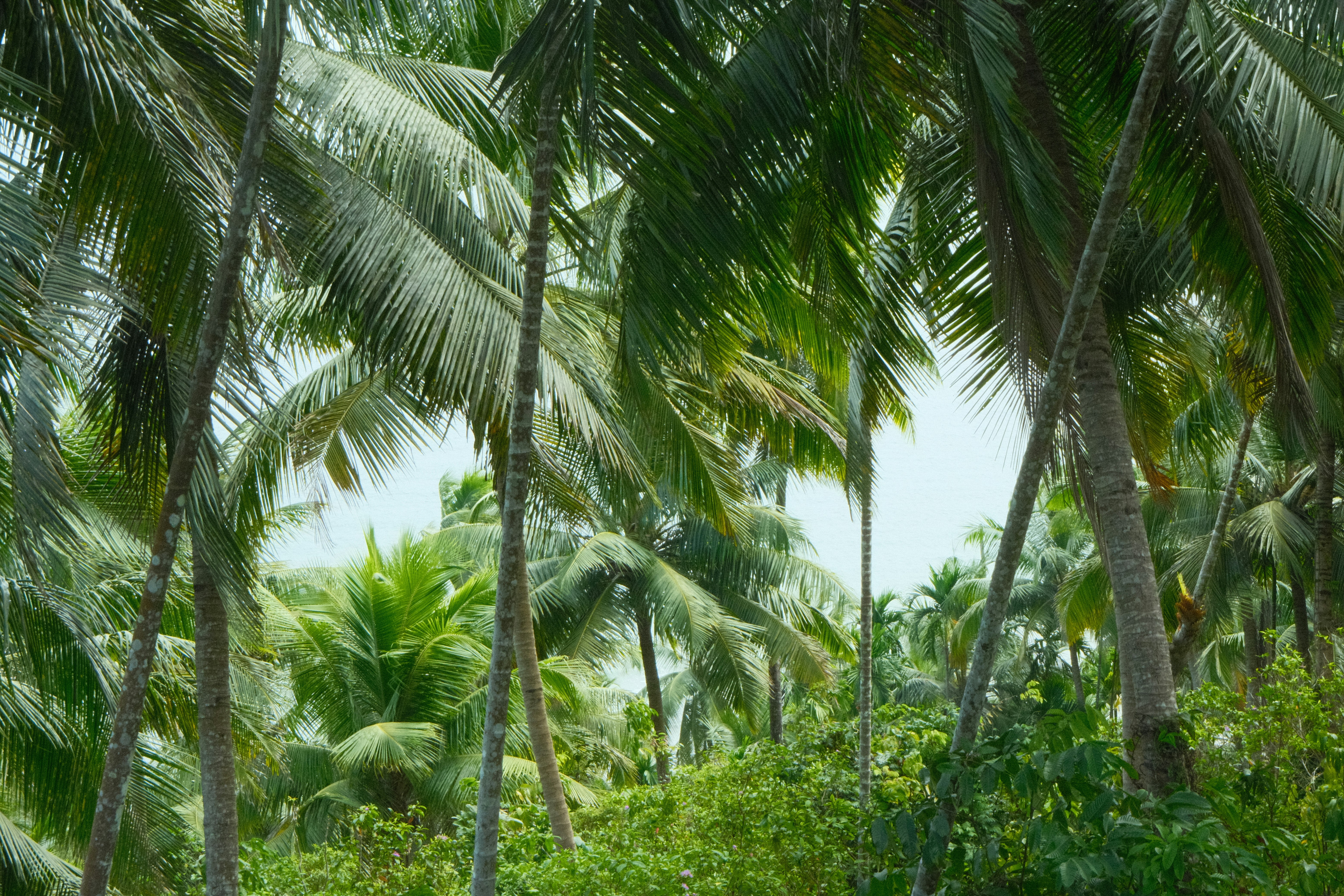 Photo by rkdotdesign