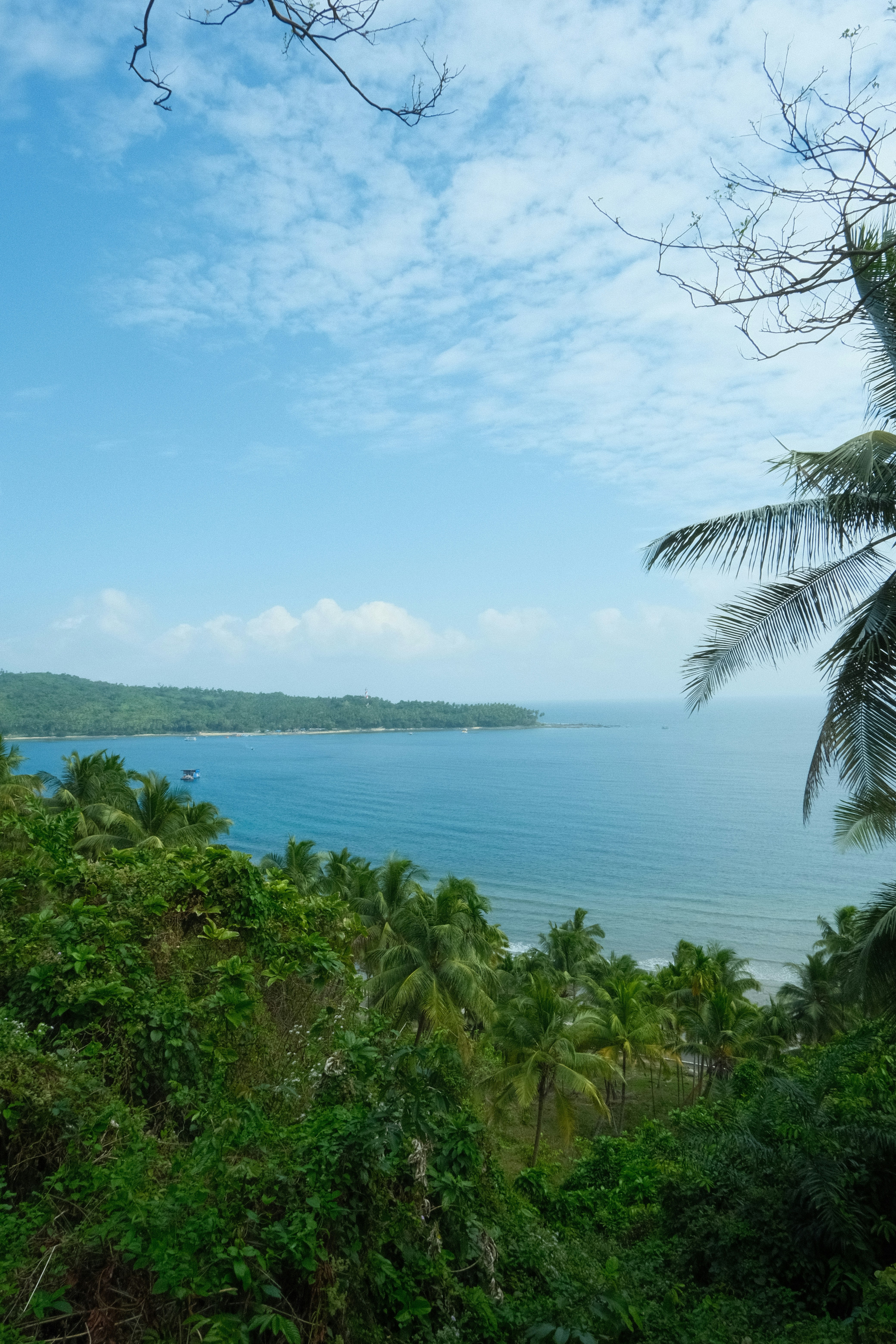 Lush green foliage overlooks a serene blue ocean and coastline.