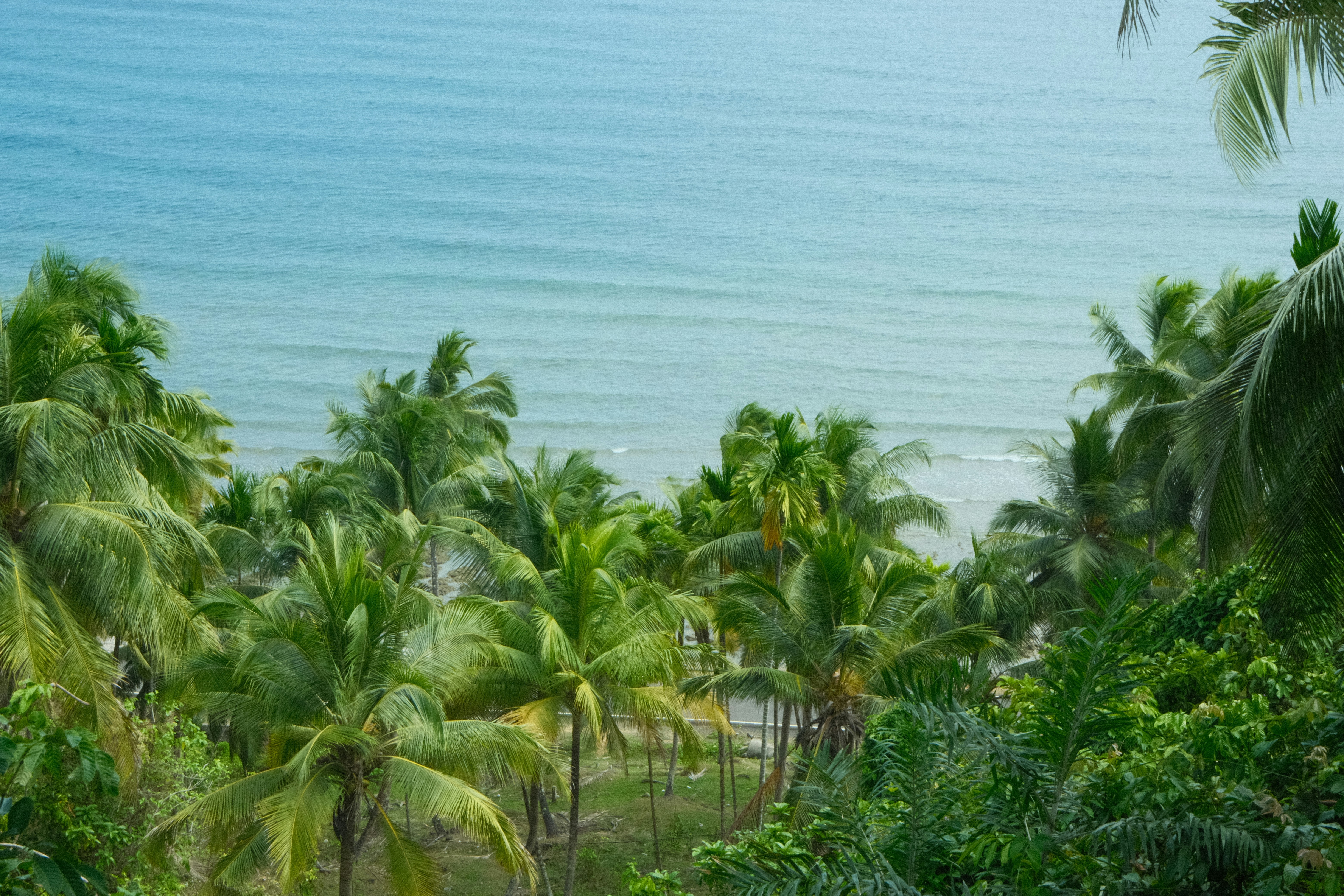 Beachfront luxury villa with turquoise water and palm trees
