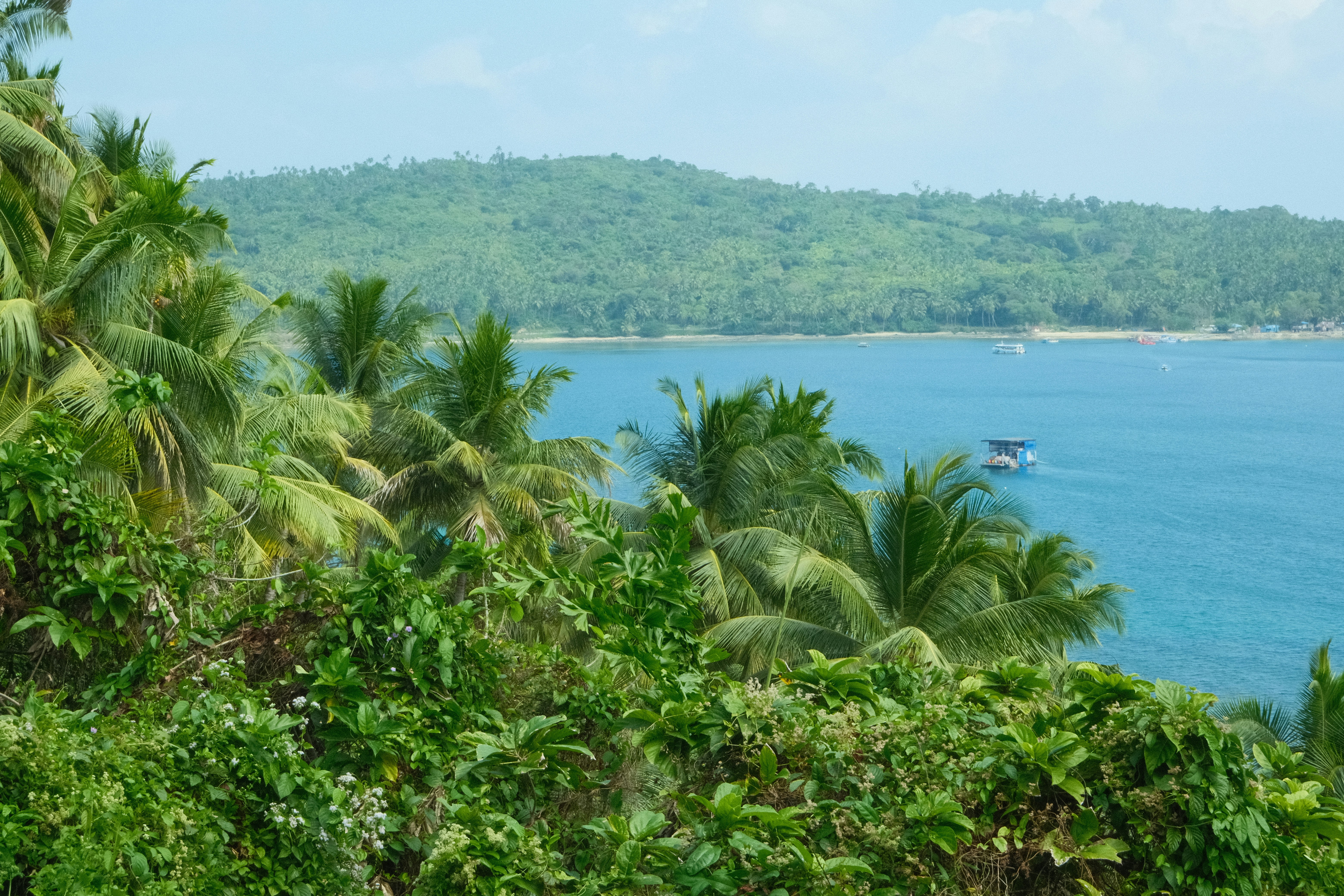 Photo by rkdotdesign