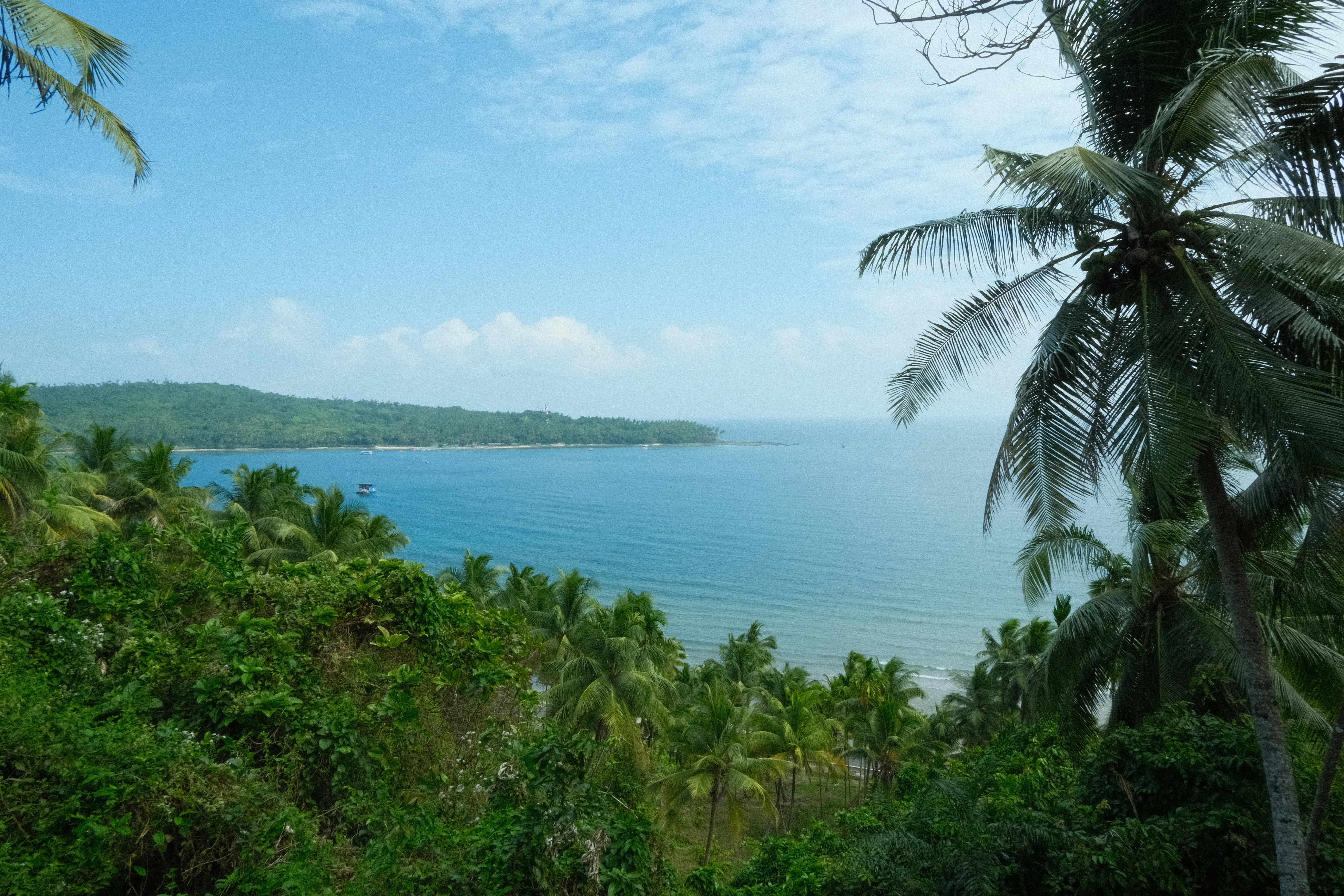 Photo by rkdotdesign