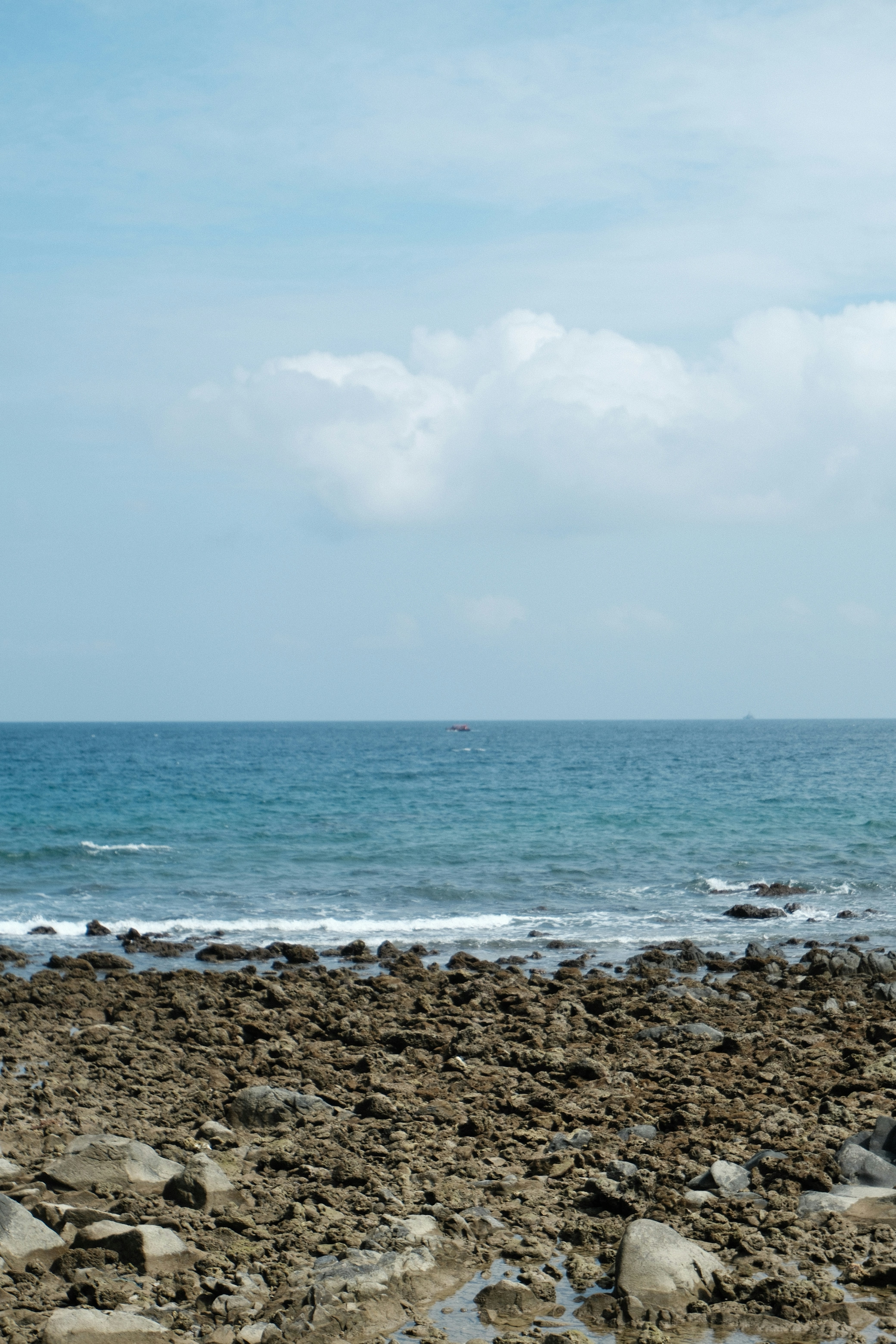 Photo by rkdotdesign